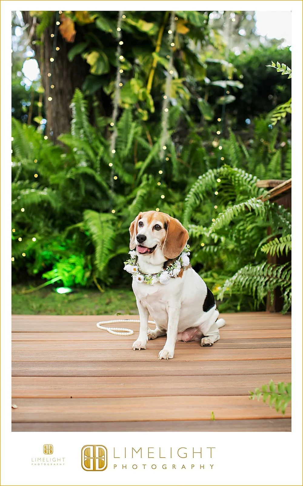 marisa-and-daniel-bakers-ranch-wedding-photography26.jpg