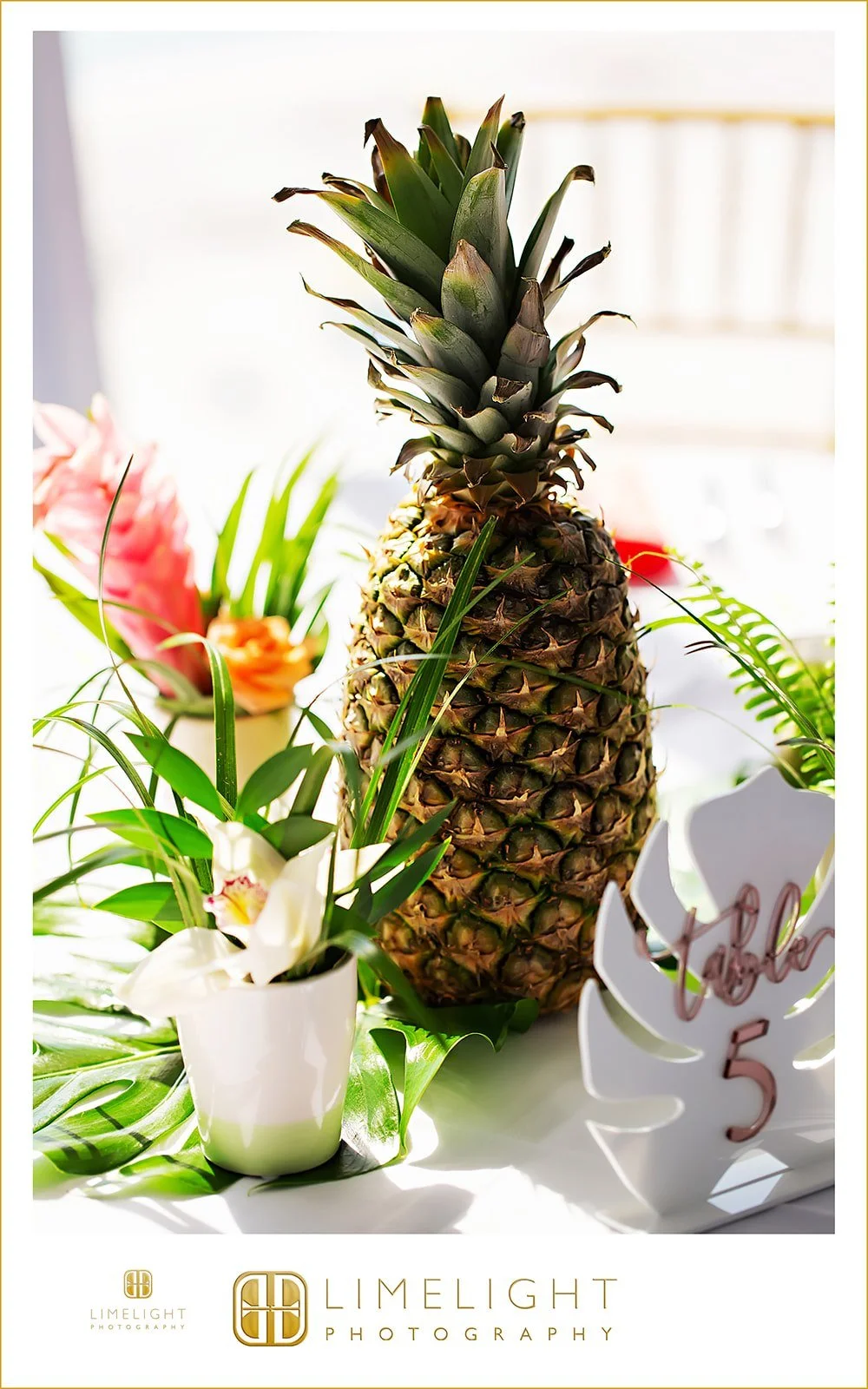 meryl-matt-st-pete-bellwether-wedding30.jpg