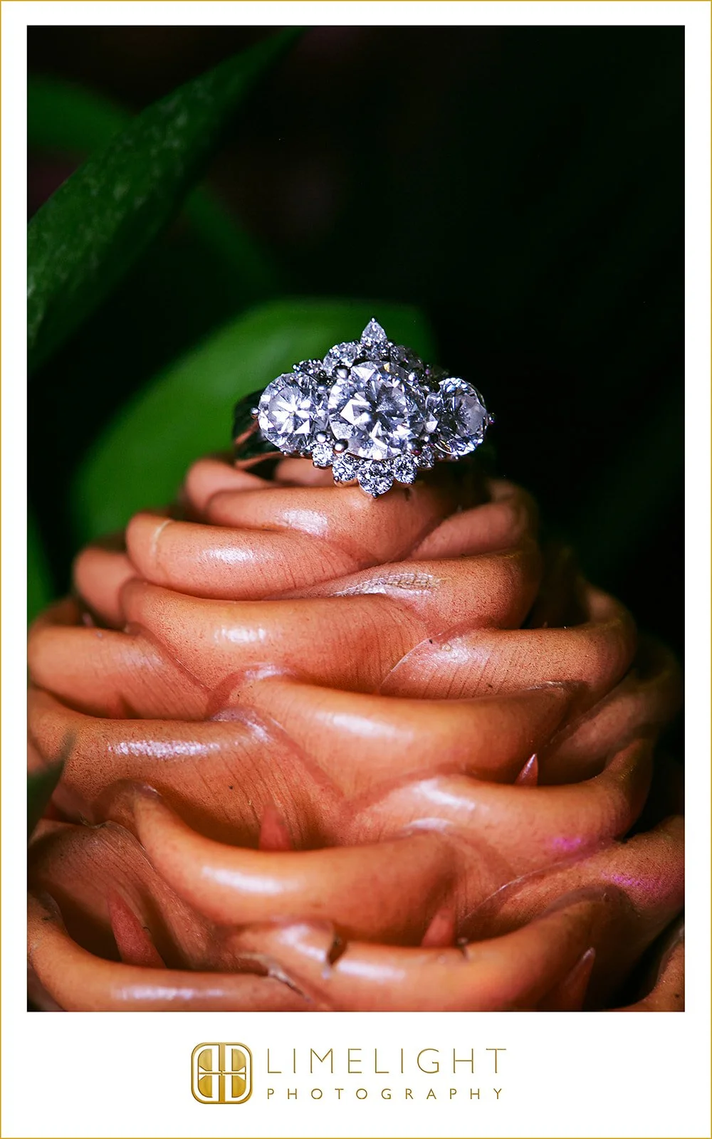 erica-justin-wedding-photography-don-cesar-florida61.jpg