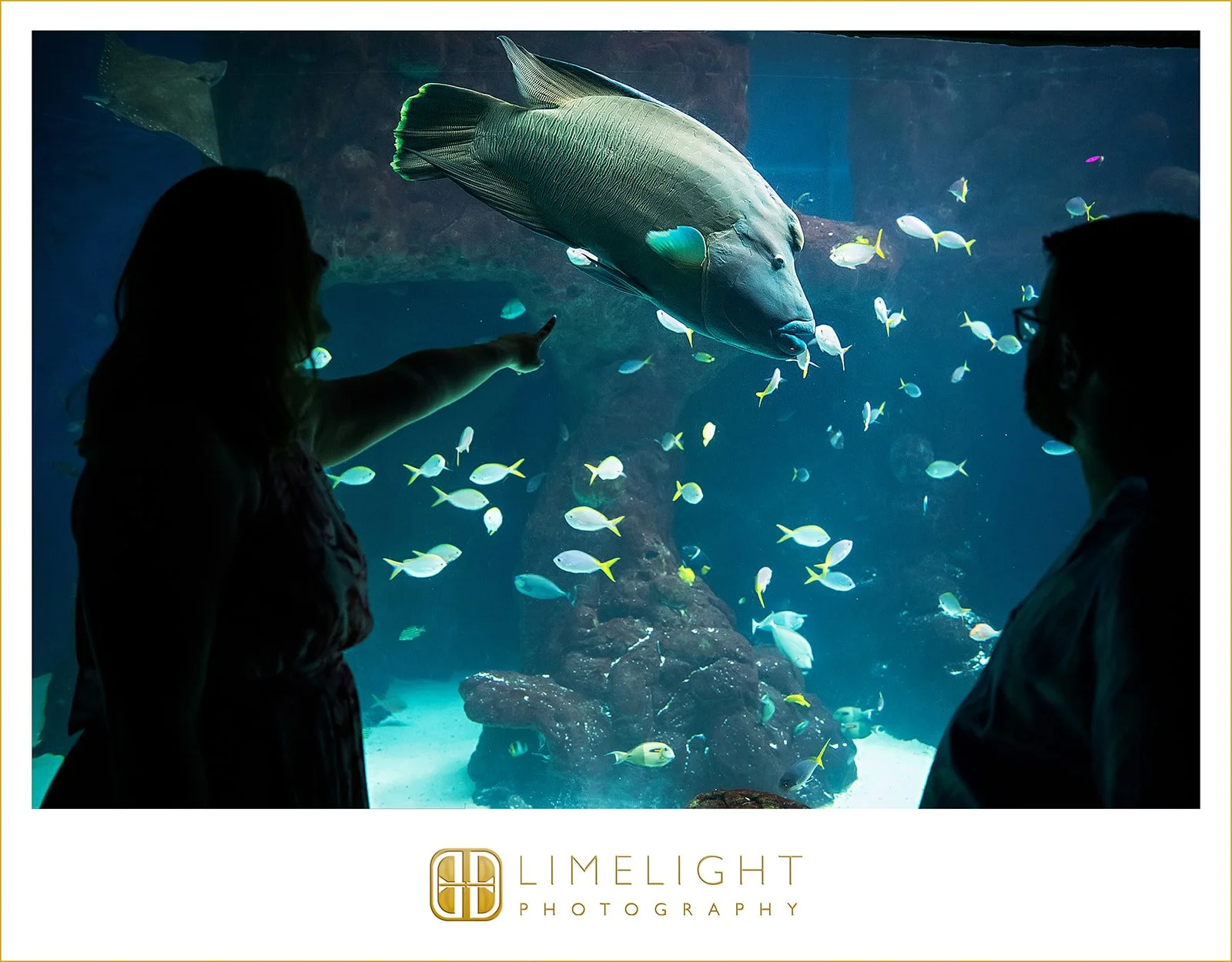 Bridgette-brantley-engagement-photography-the-florida-aquarium-florida7.jpg
