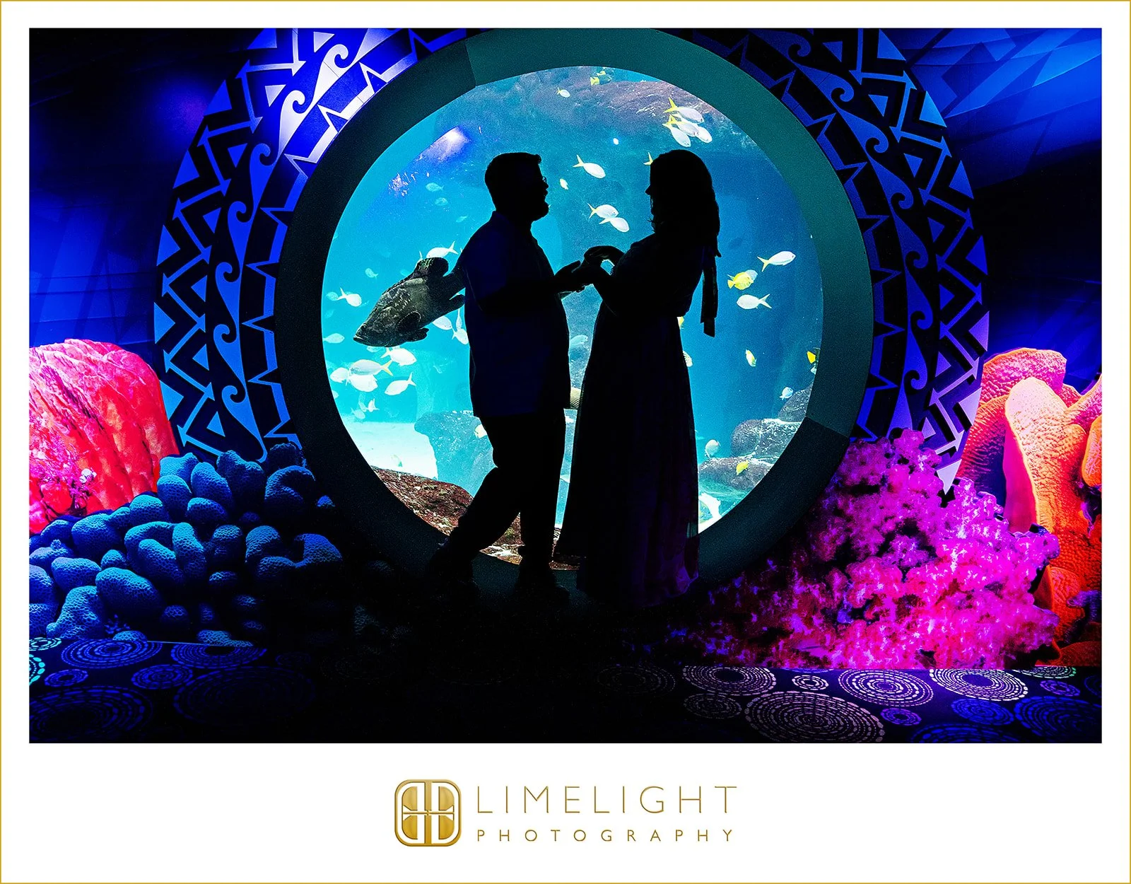 Bridgette-brantley-engagement-photography-the-florida-aquarium-florida9.jpg