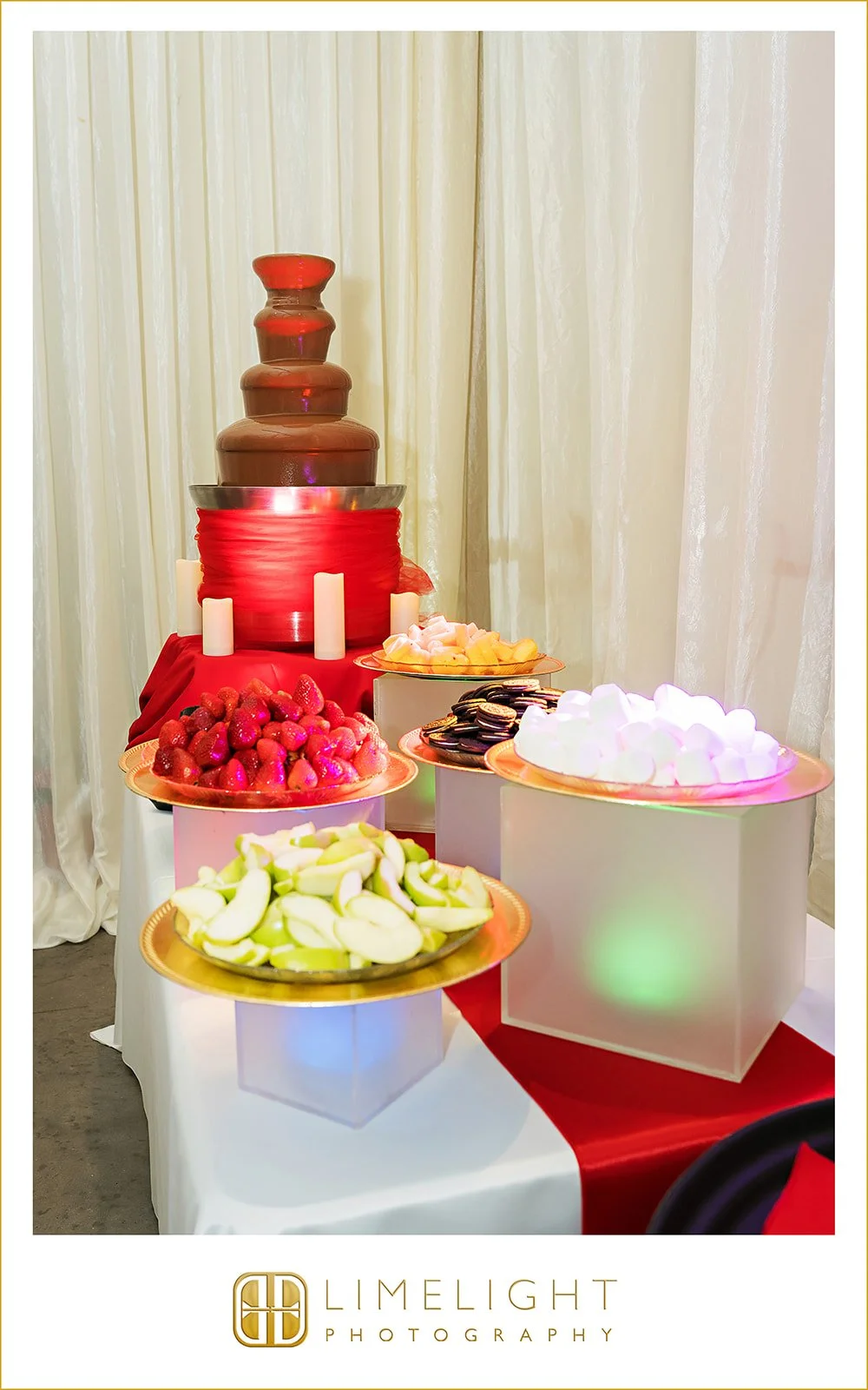 richelle-pete-wedding-photography-paradise-spring-court-lithia-florida57.jpg