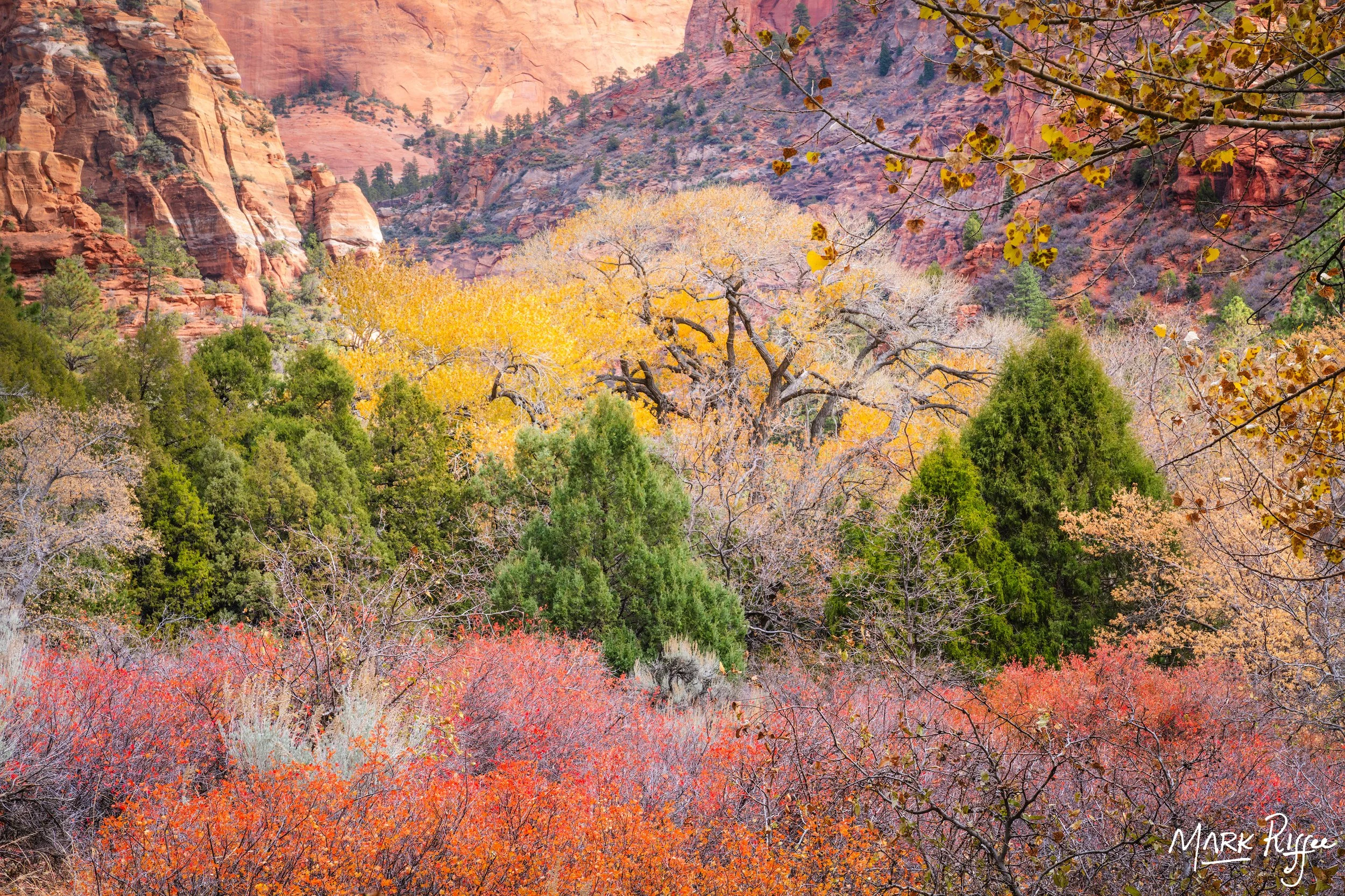 Big Canyon Mess