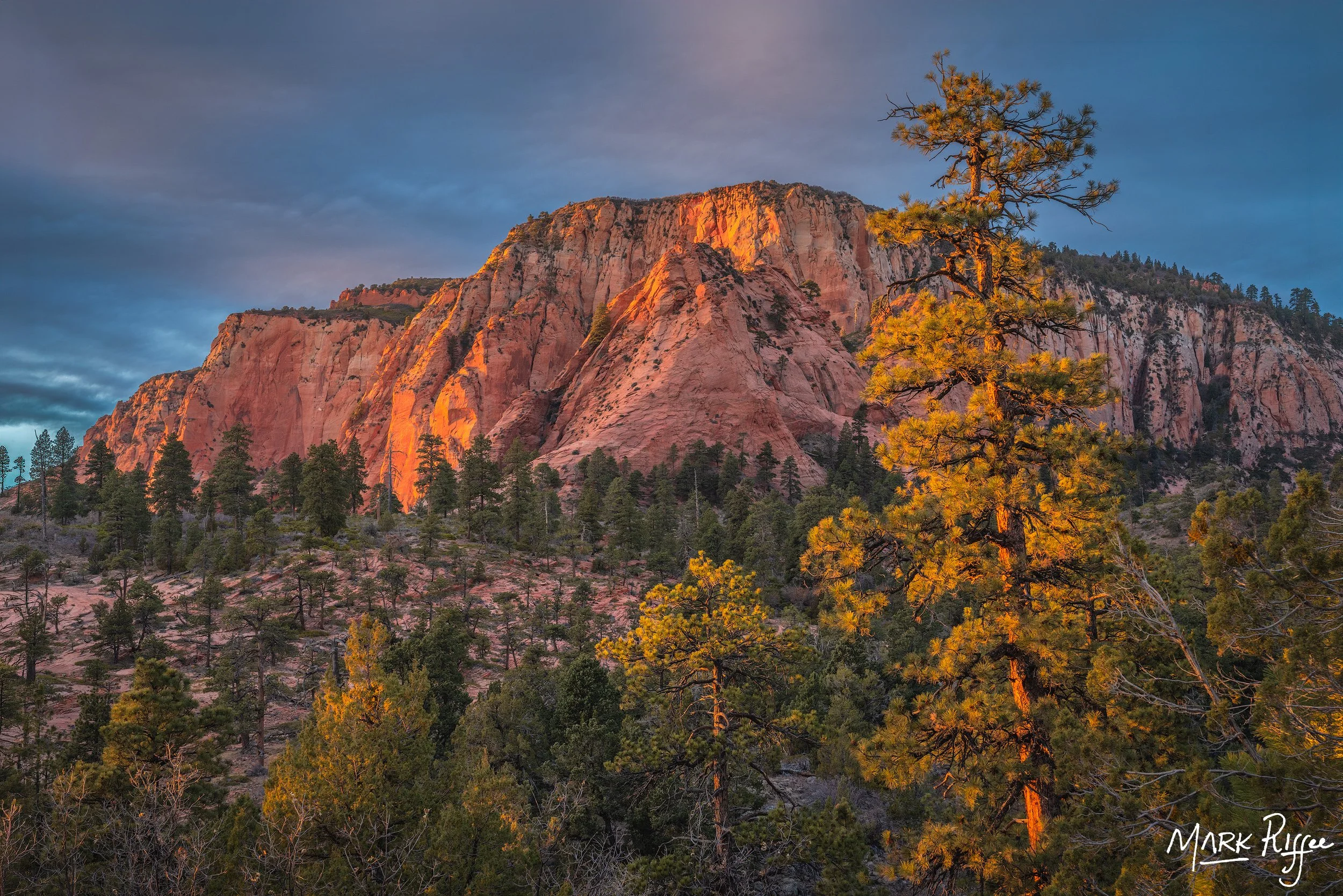Zion_W24_Ponderosa Sunset_DSC0110-Edit-sharpened.jpg