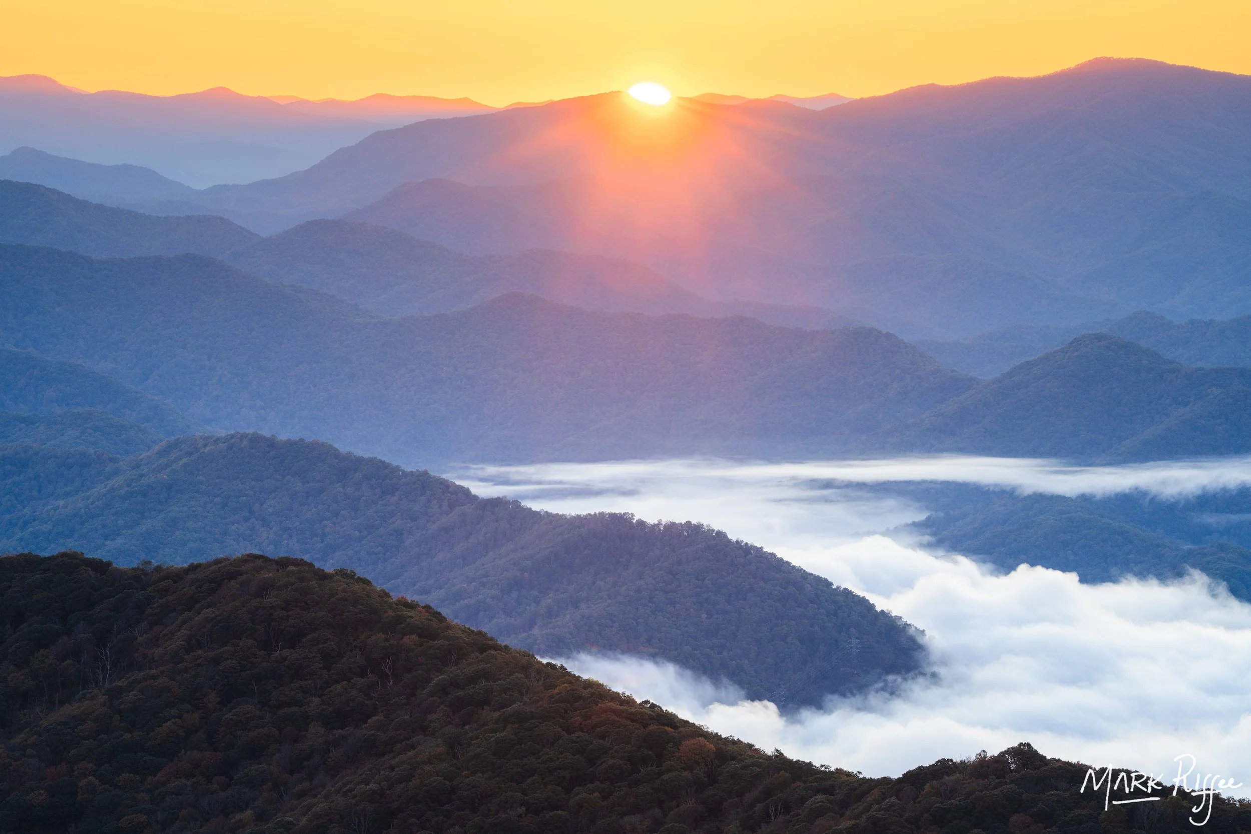 Earnest Awakening