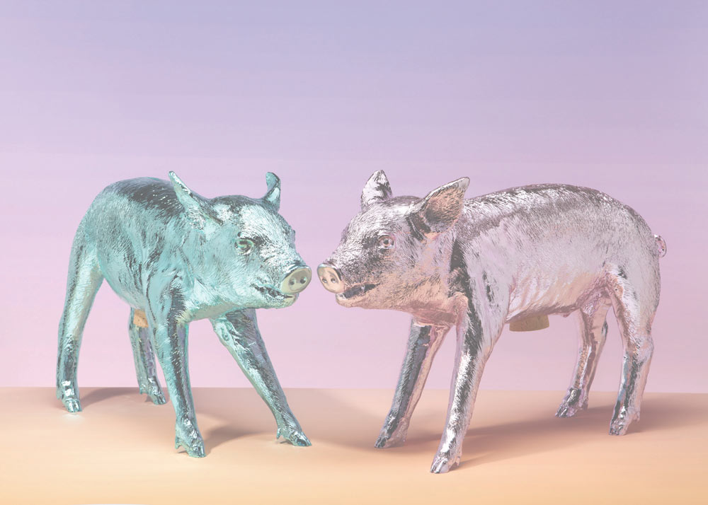 Bank in the form of a pig - metallic