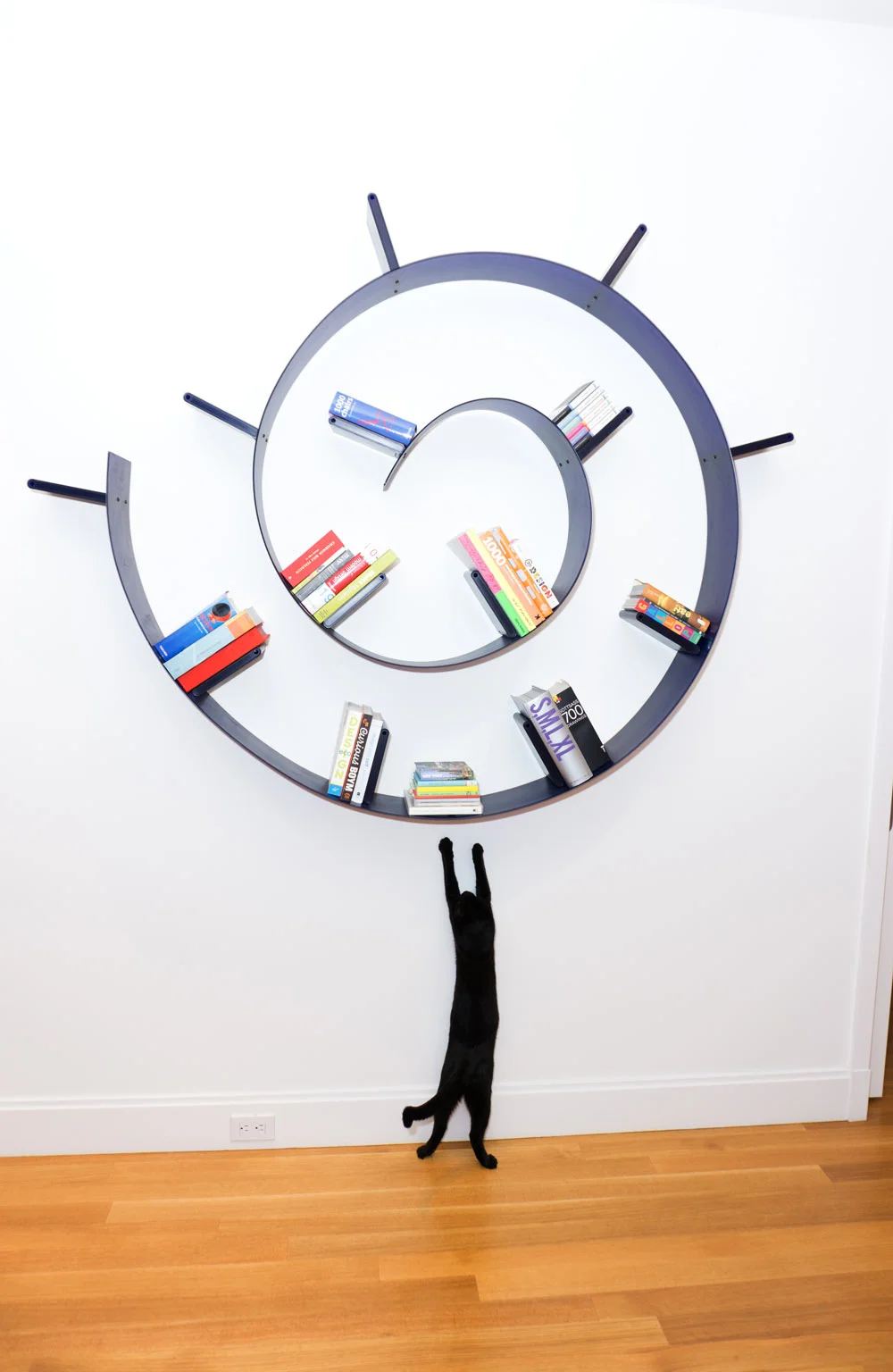 BOOKWORM Bookcase by Ron Arad for Kartell