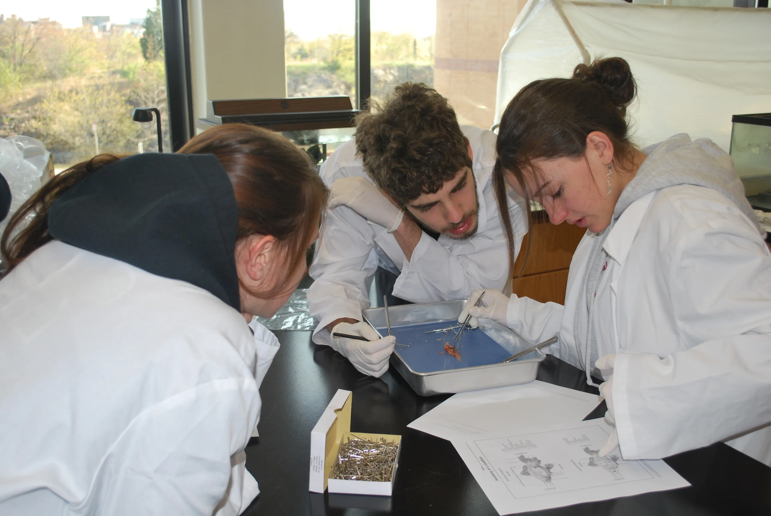 Norman H. Read Charitable Trust Supports Excellence in Science Education/Norman H. Read Charitable Trust apoya excelencia de educación científica 