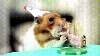 giphy (7)