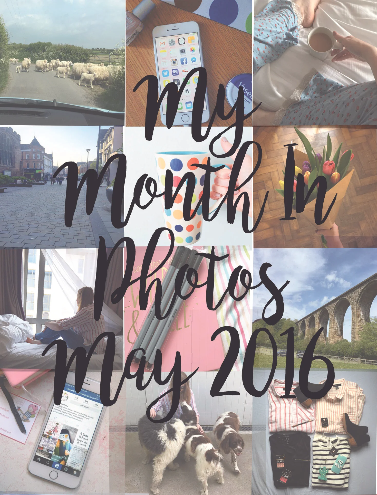 may 2016.jpg