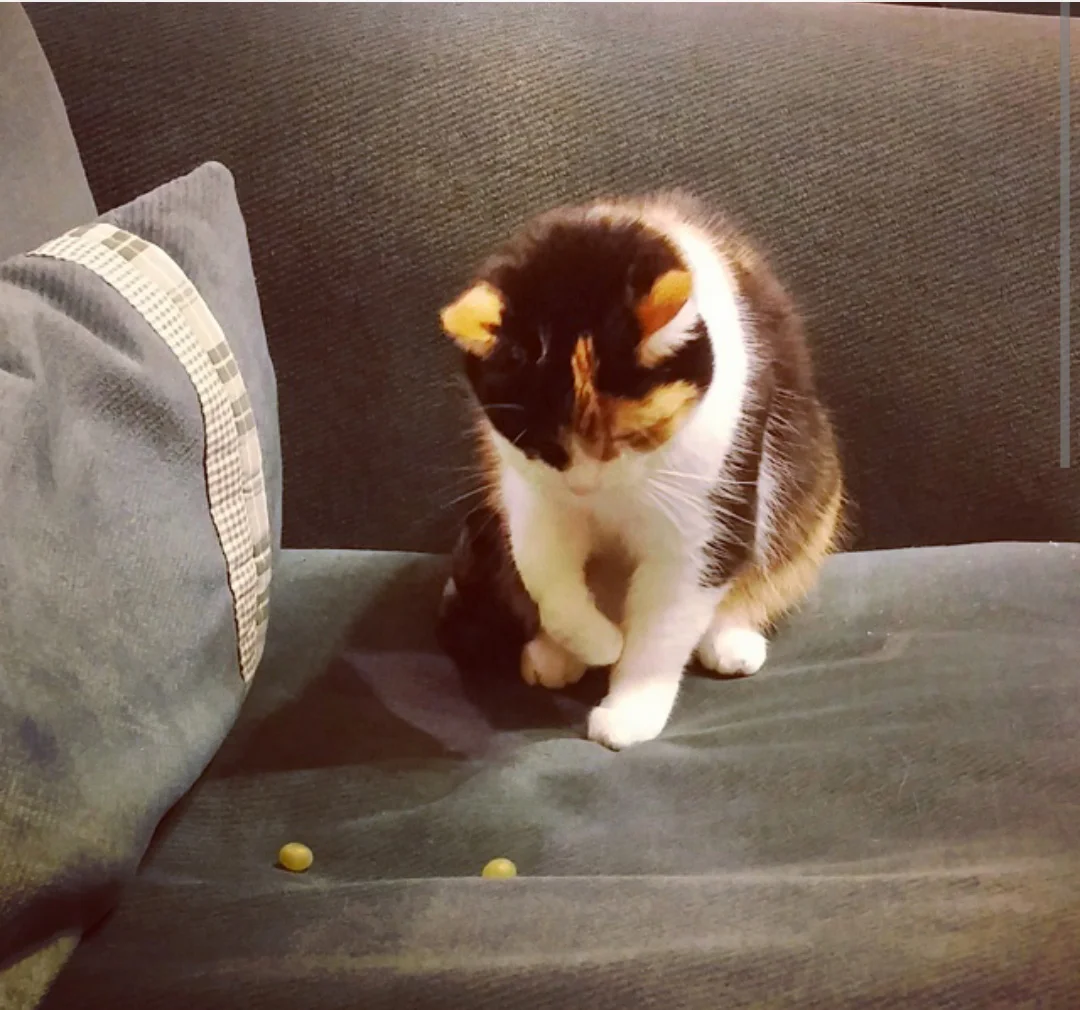 Playing with grapes!