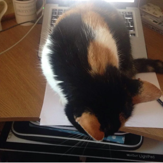 She really is so helpful. 