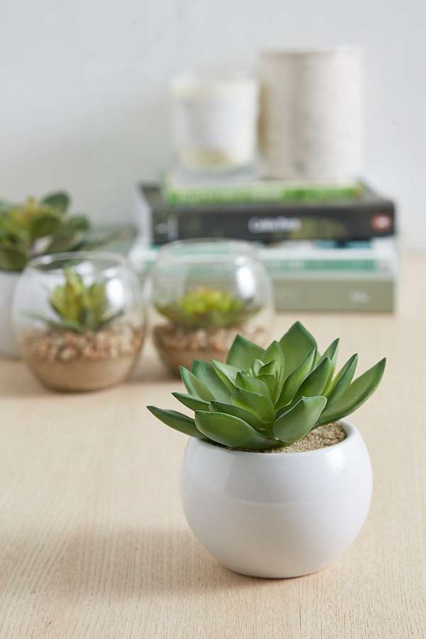 Ceramic Planter Faux Succulent Plant