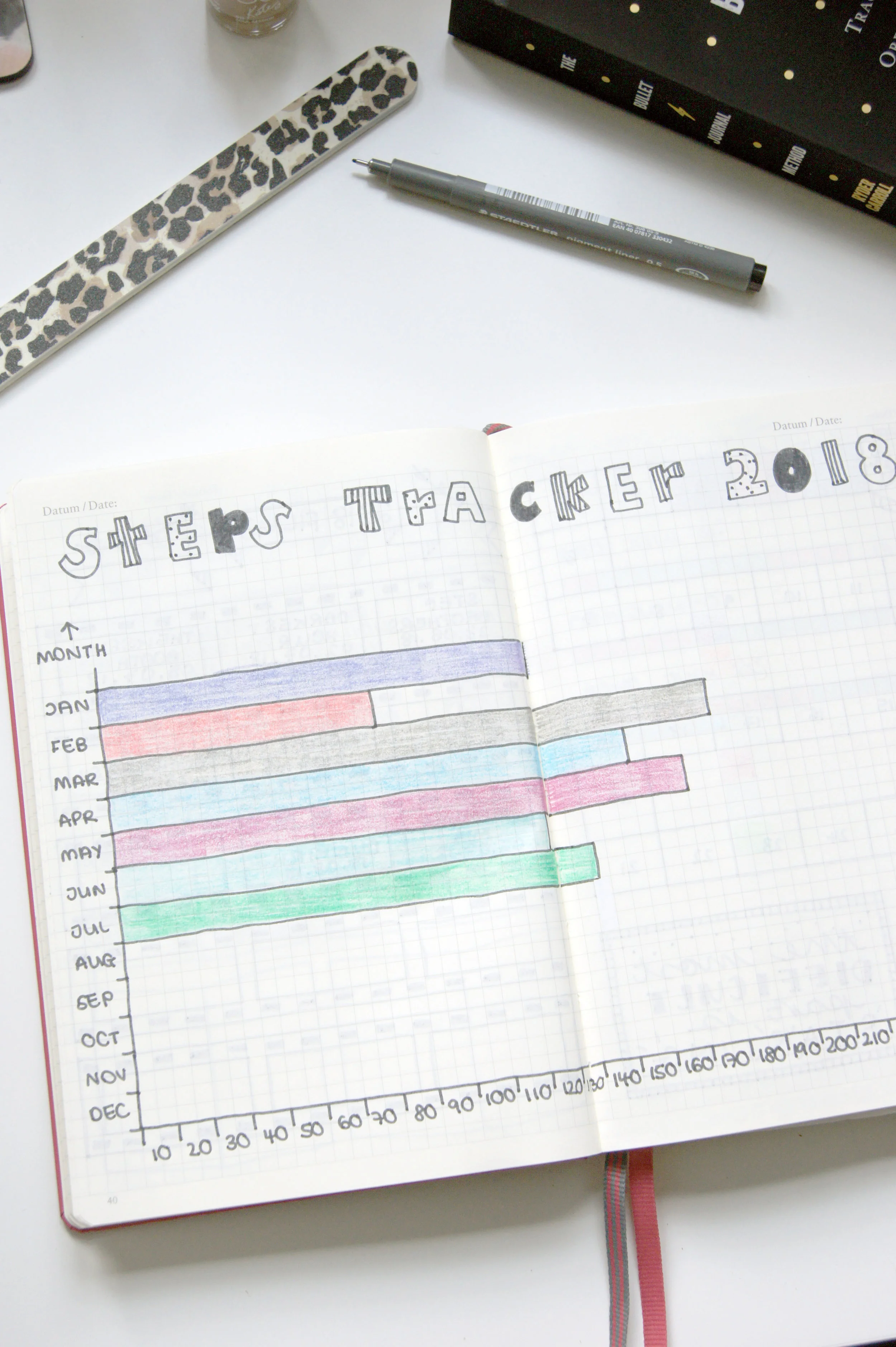 bulletjournal.jpg