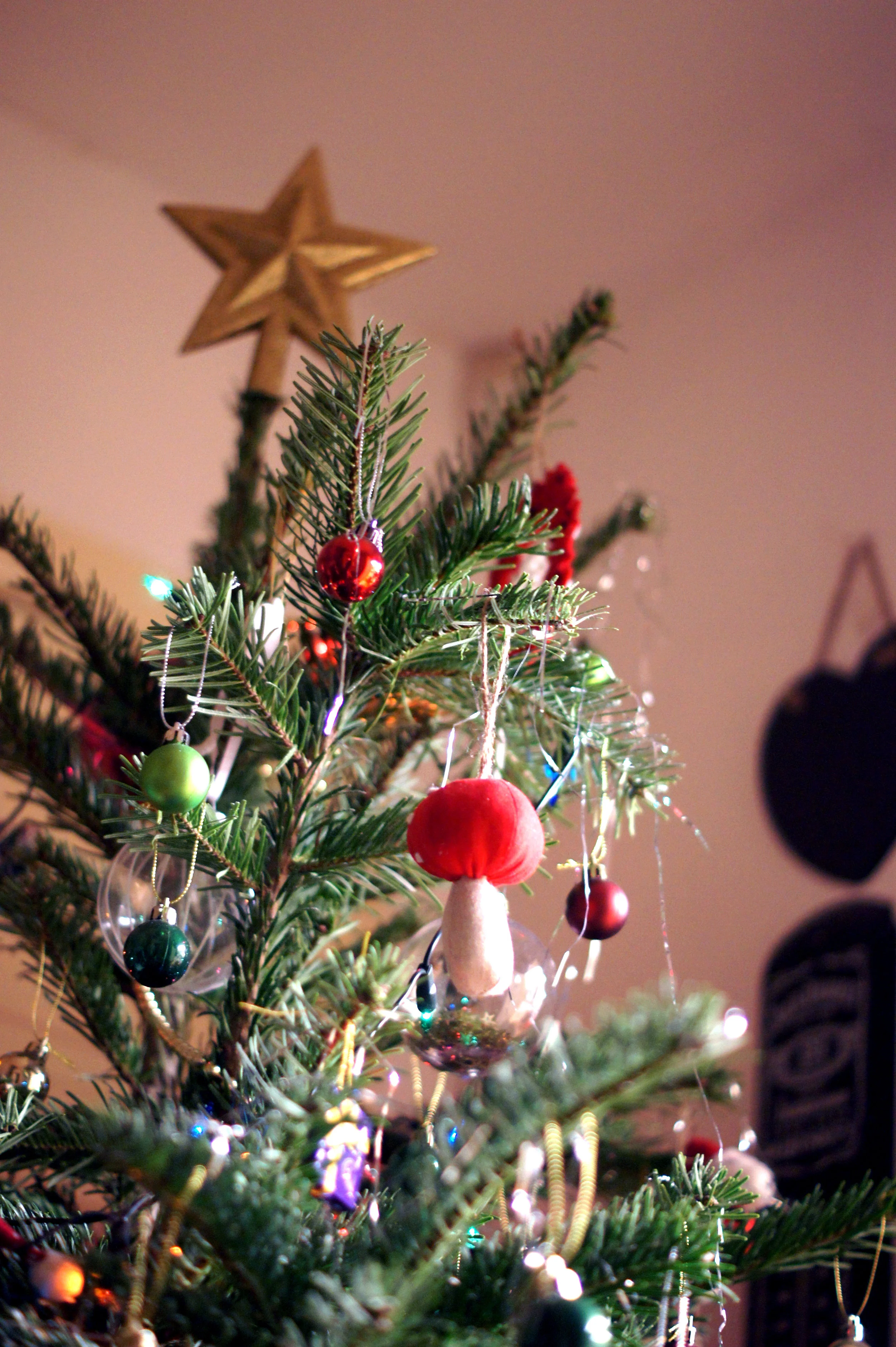 christmastree.jpg