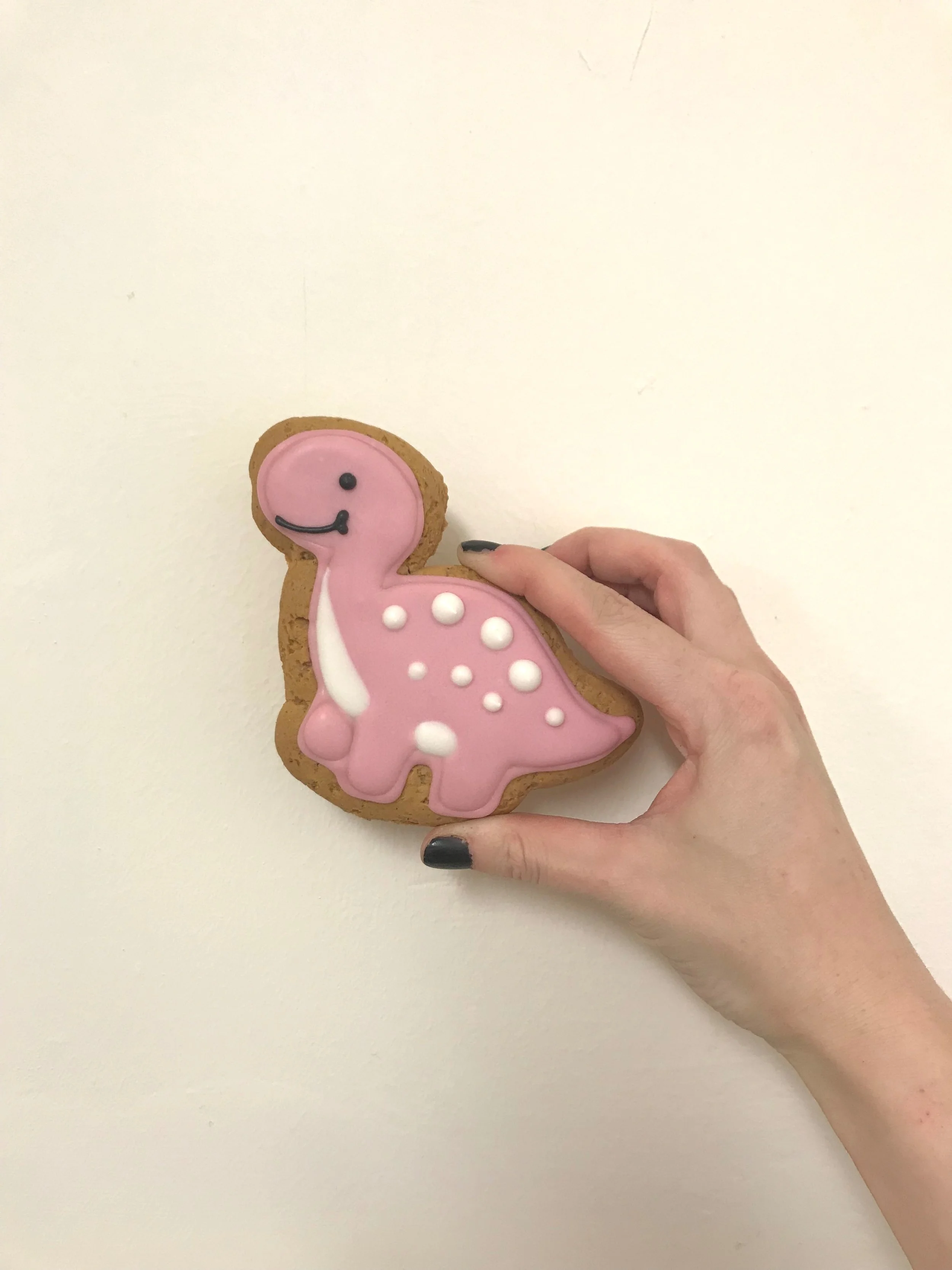 dinosaurbiscuits.jpg