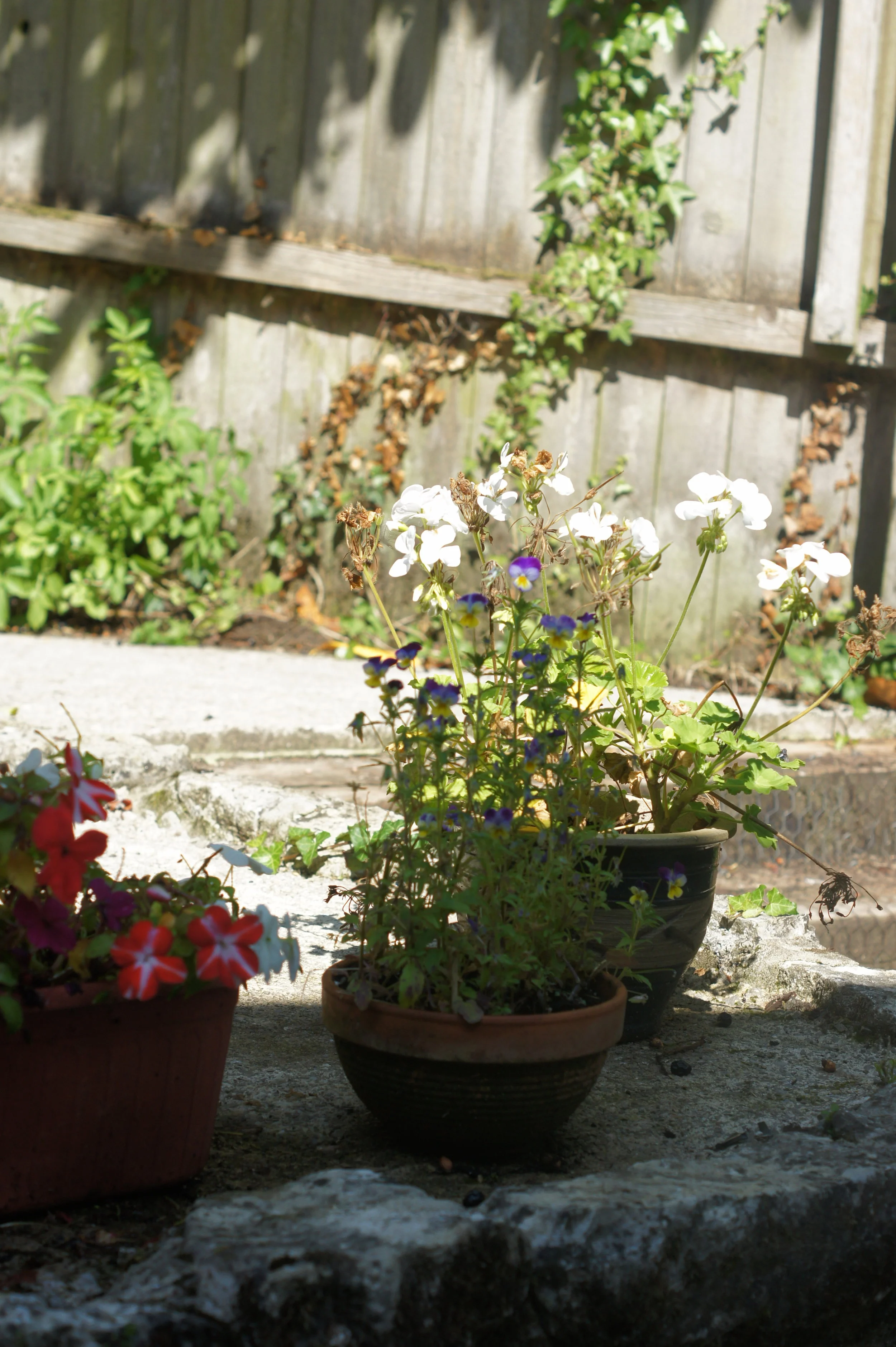 gardenpots.jpg