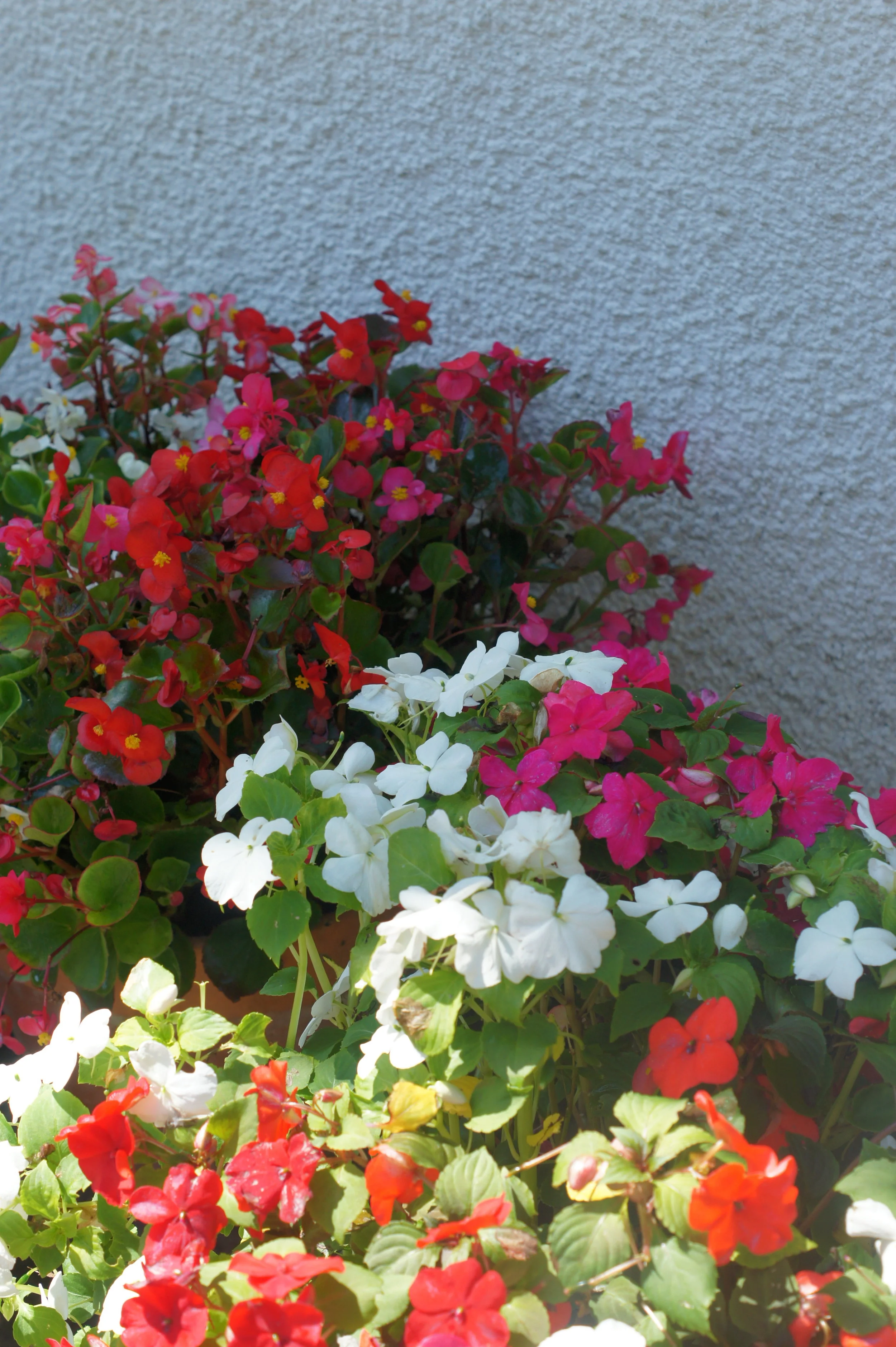 gardenpots.jpg