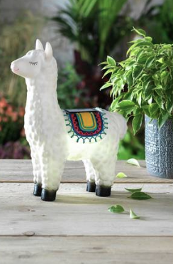 argos dancing llama