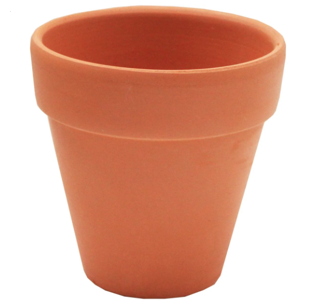 10cm Terracotta Pots