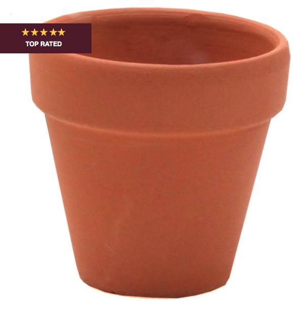 Mini Terracotta Pots 