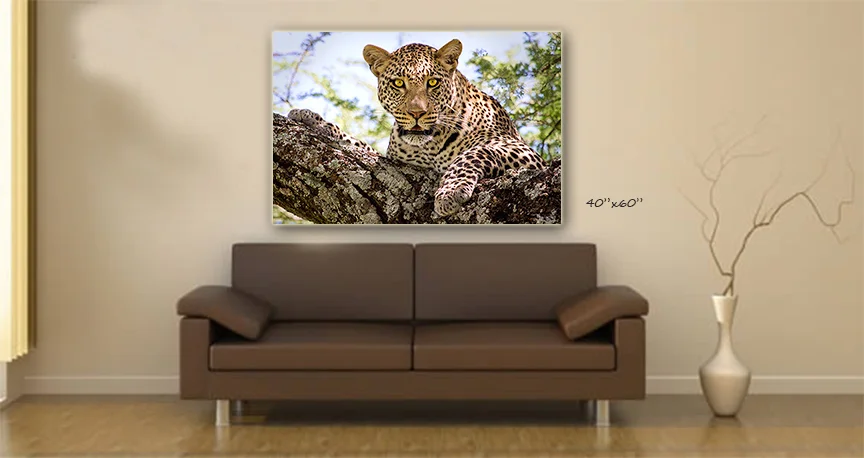 large metal photo prints