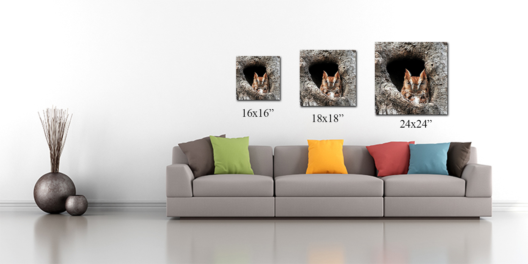 couch wall young owl.jpg