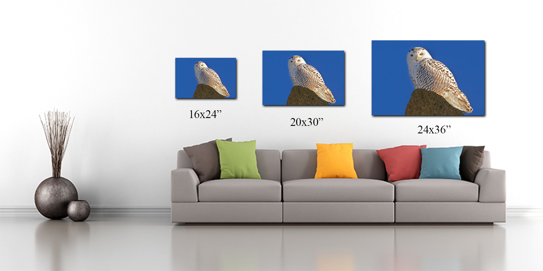 couch wall owl.jpg
