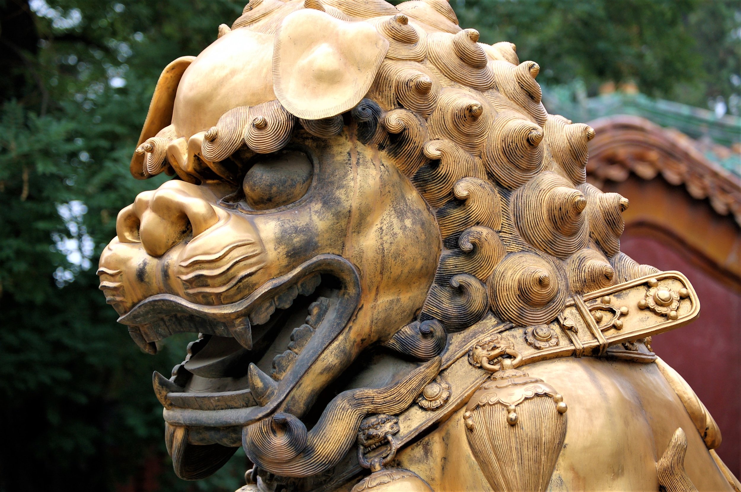 On Guard - China(1).jpg