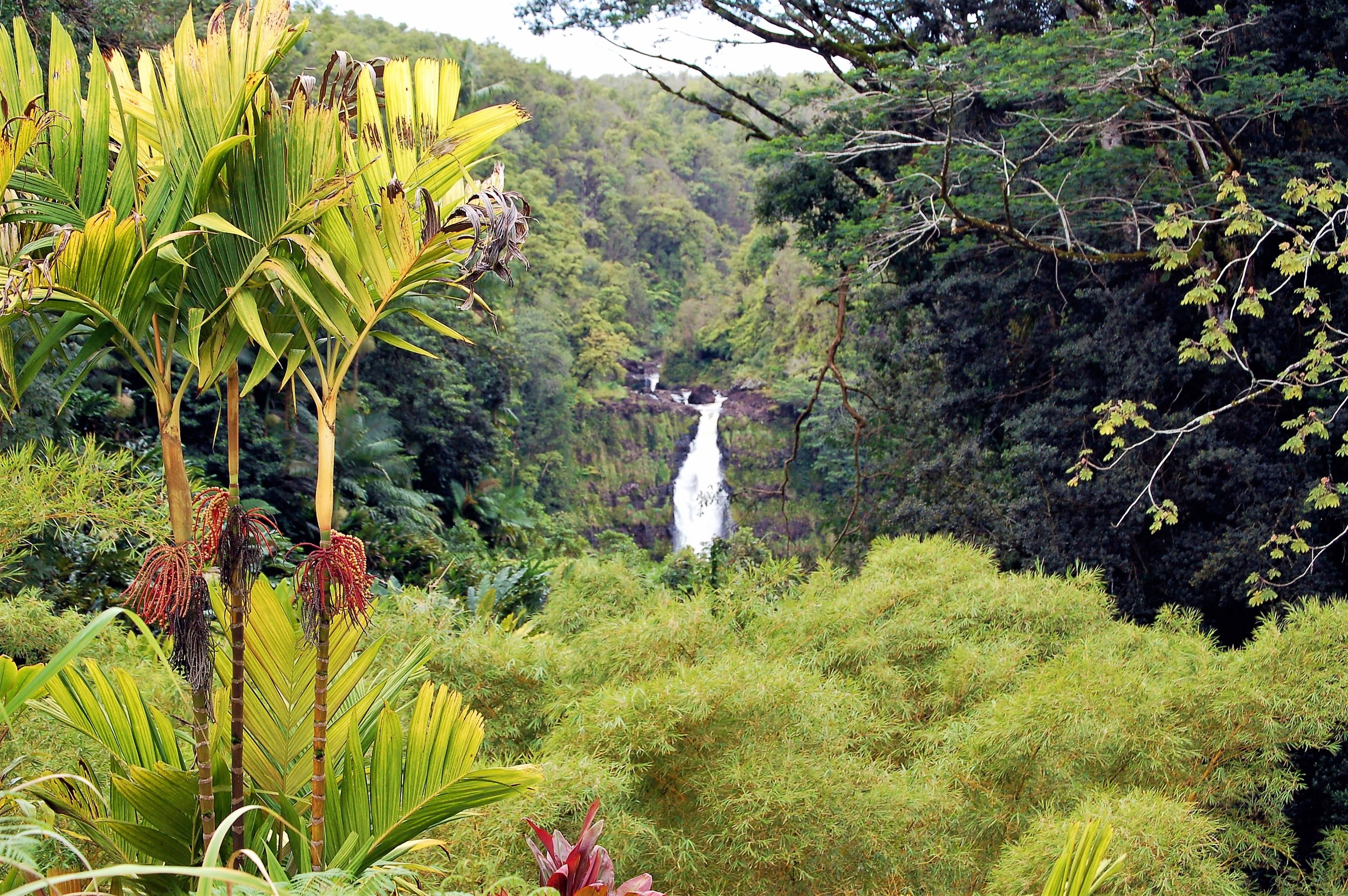 Big Island Hawaii(1).jpg