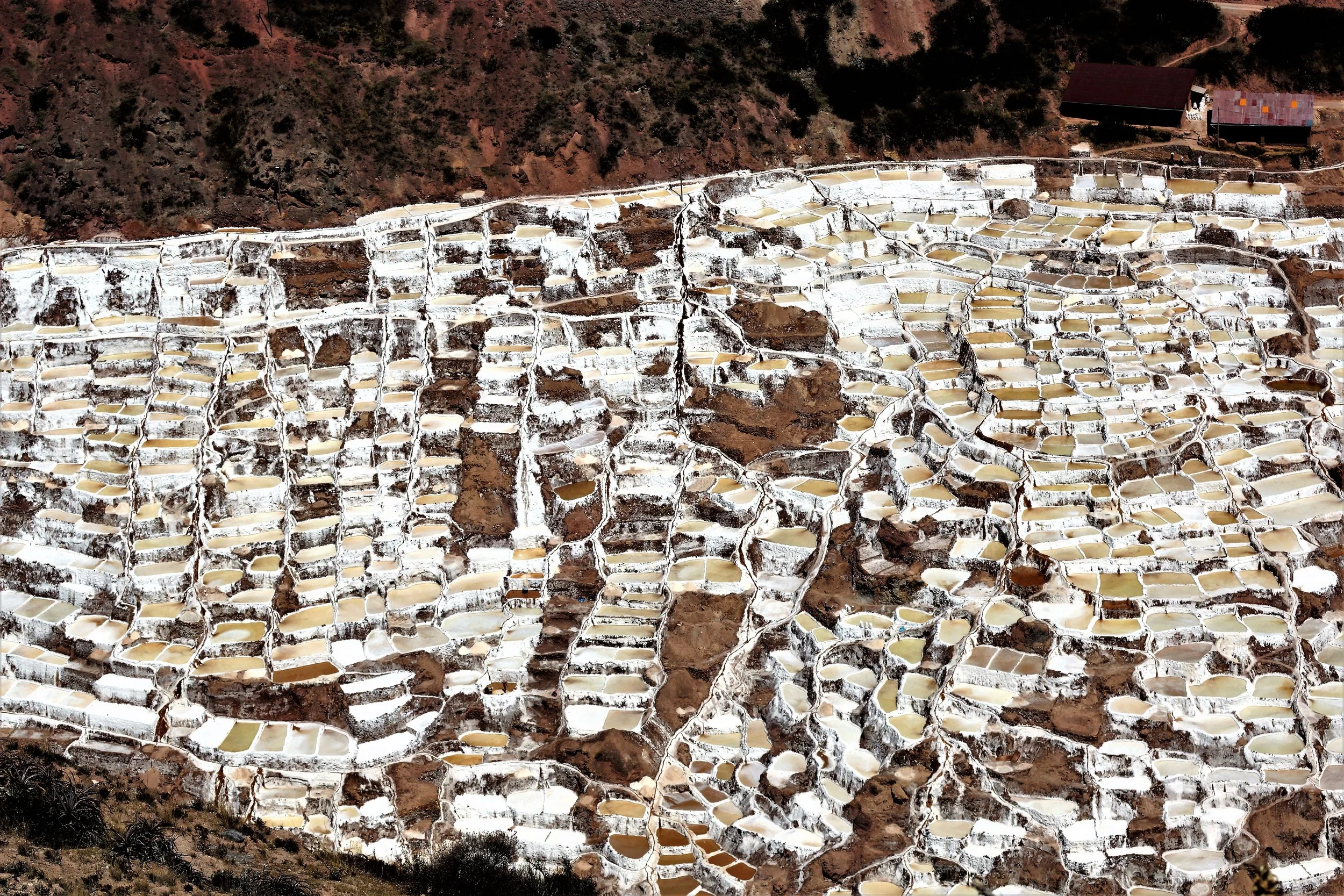 Salt flats of Maras - Peru(1).jpg