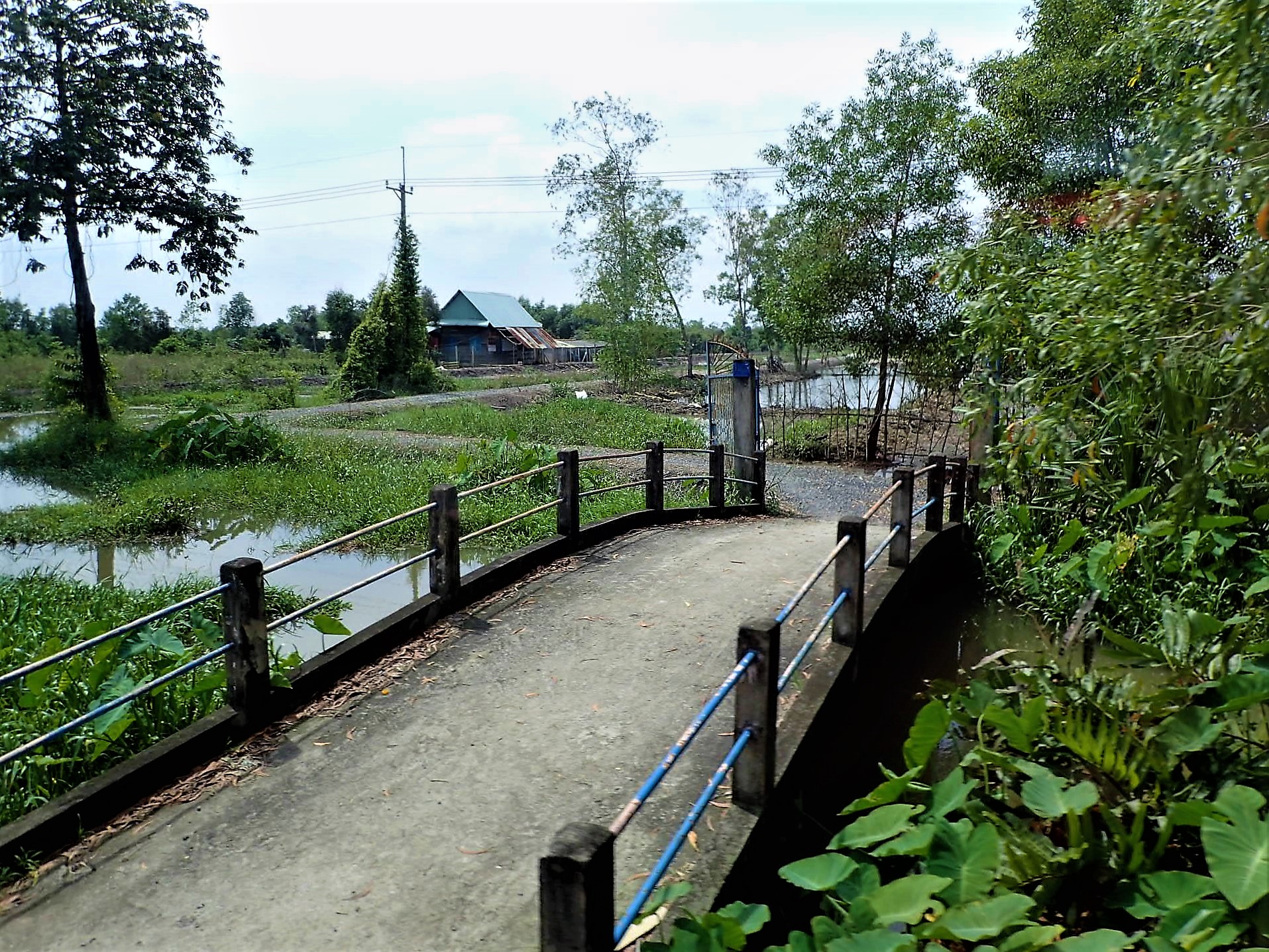 Bridge Home - Vietnam(1).jpg
