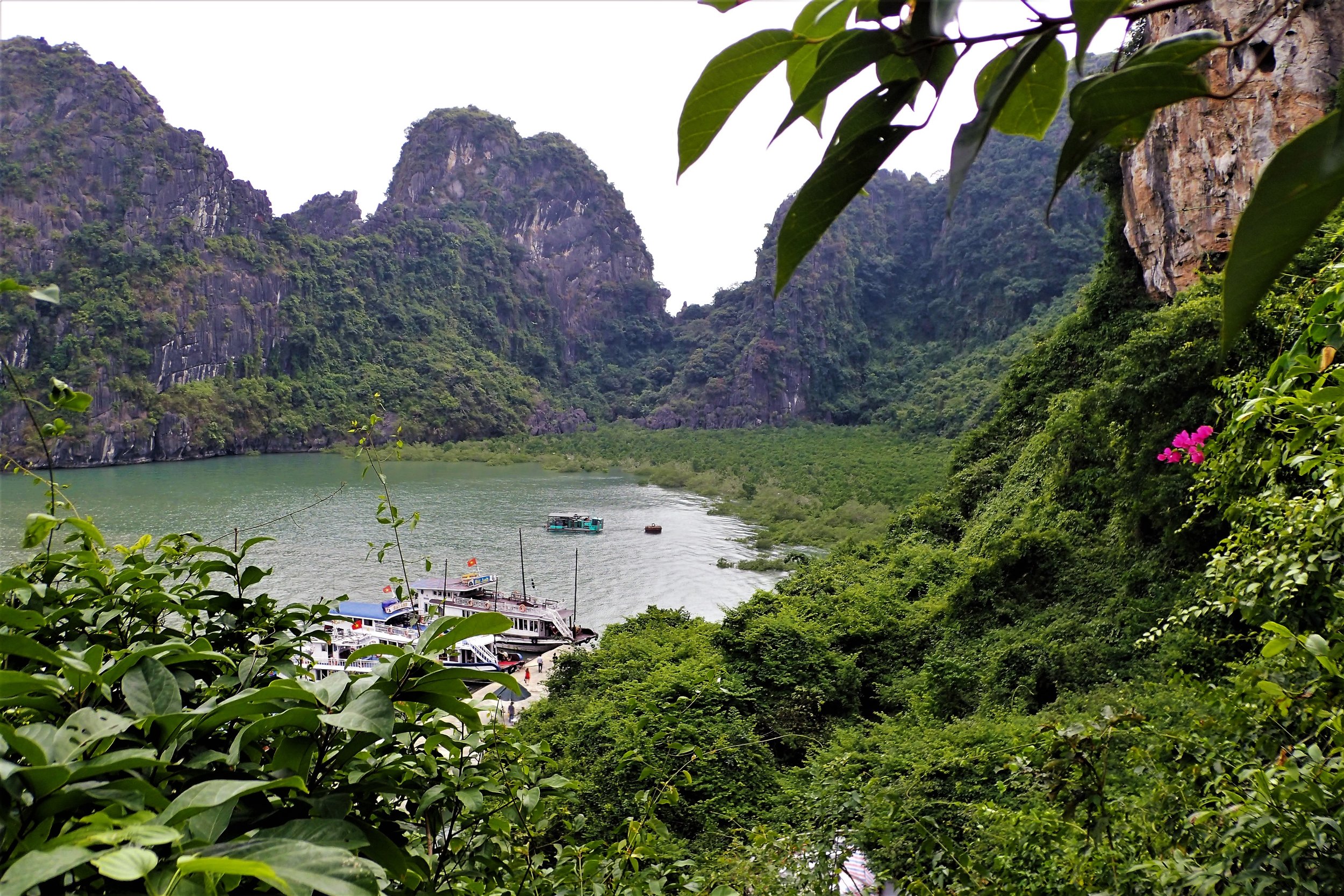 Hidden Cove - Halong Bay, Vietnam(1).jpg