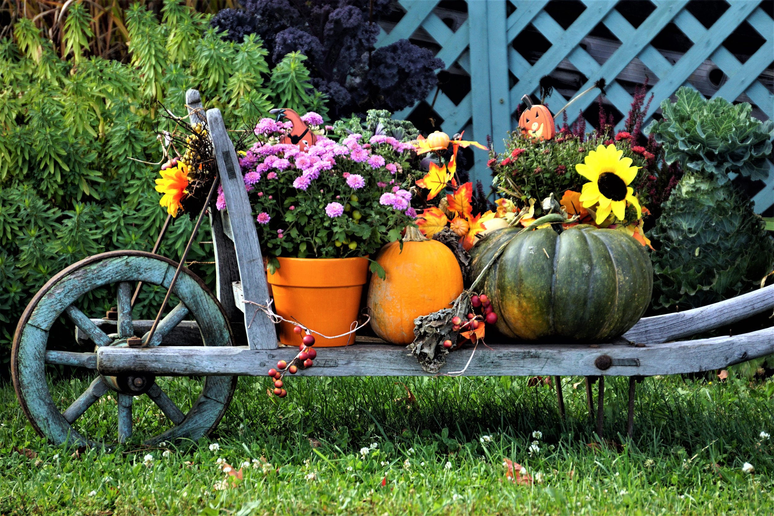 Autumn Wagon - Quebec, Canada(1).jpg