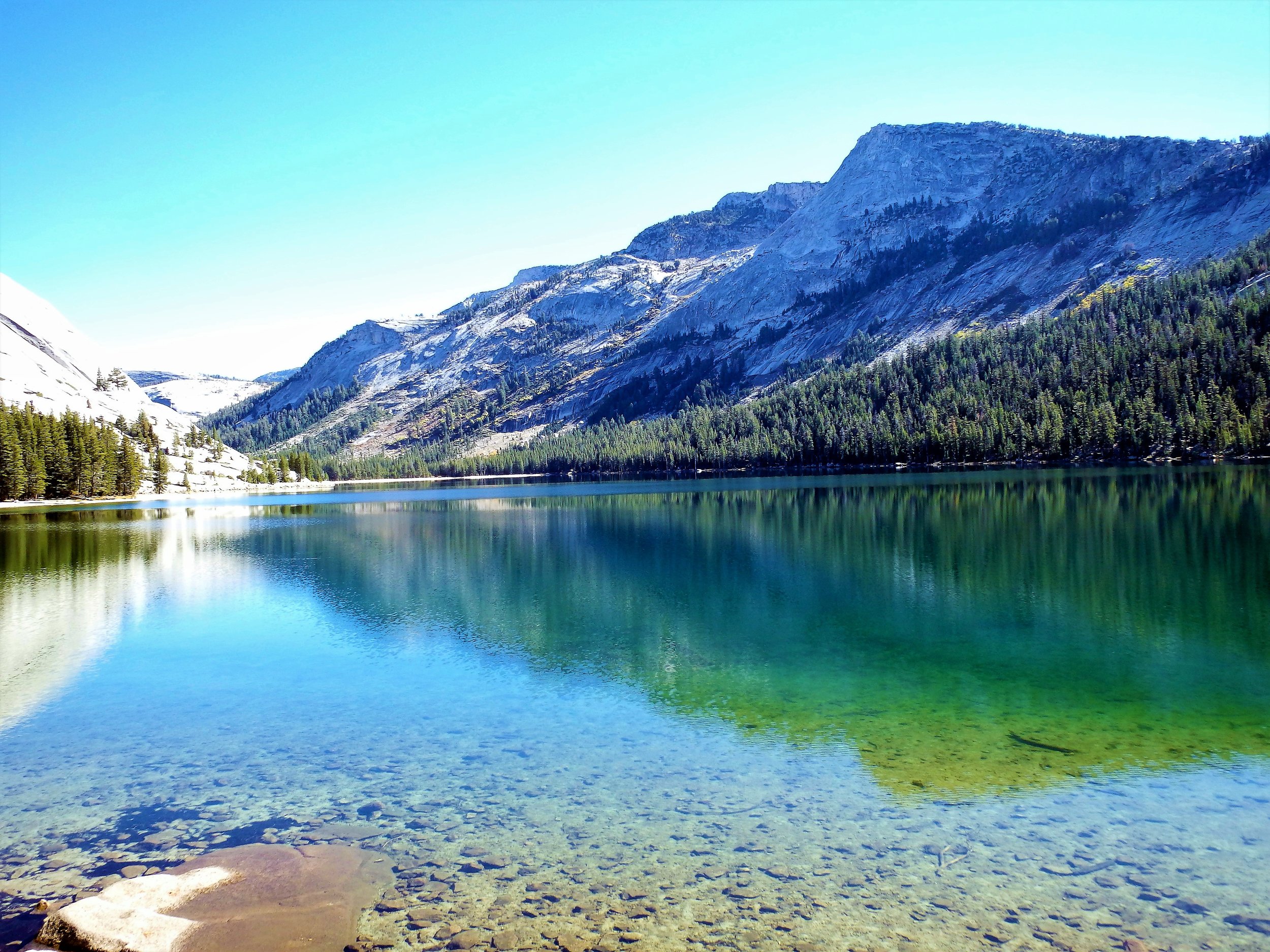 Clarity - Yosemite, CA(1).jpg