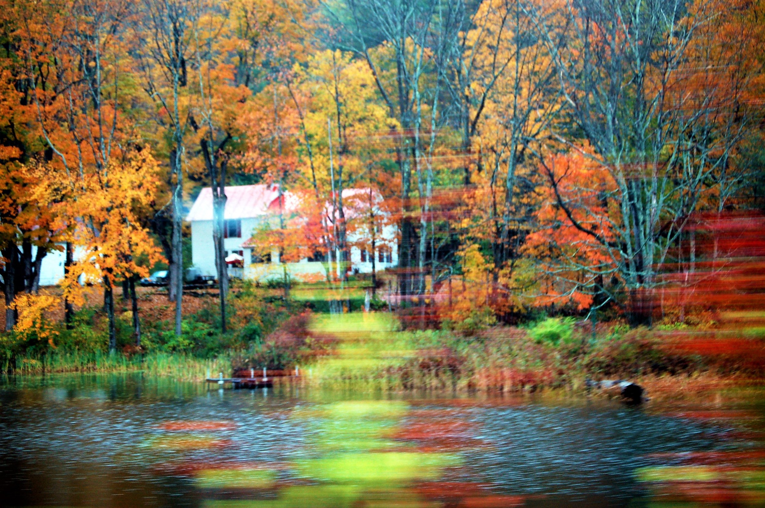 New England(1).jpg