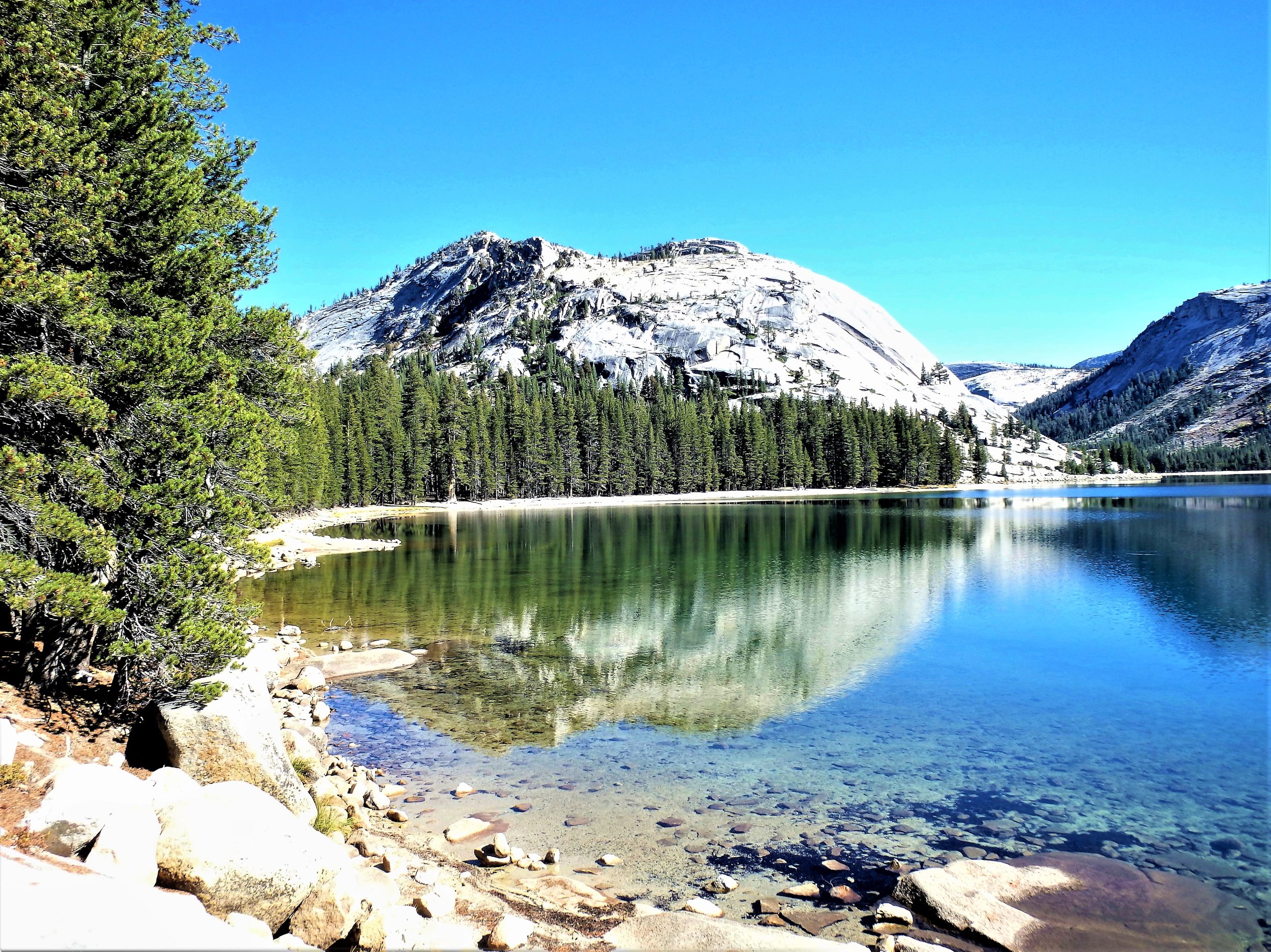 Reflections - Yosemite(1).jpg