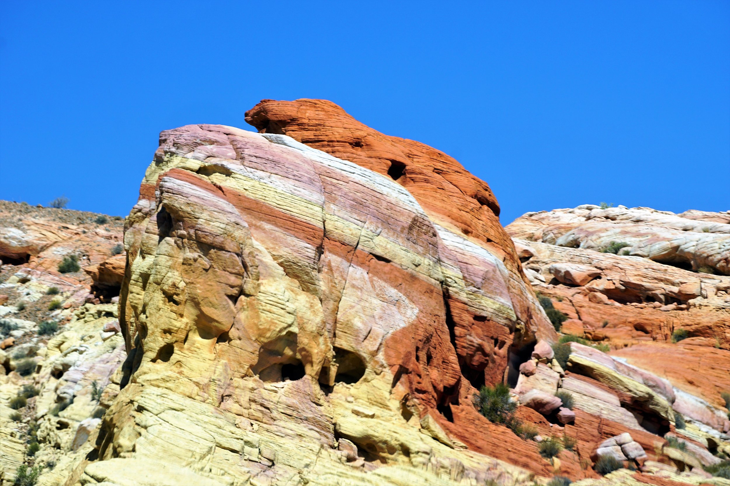 Rock Fish - Valley of Fire, Nevada(1).jpg