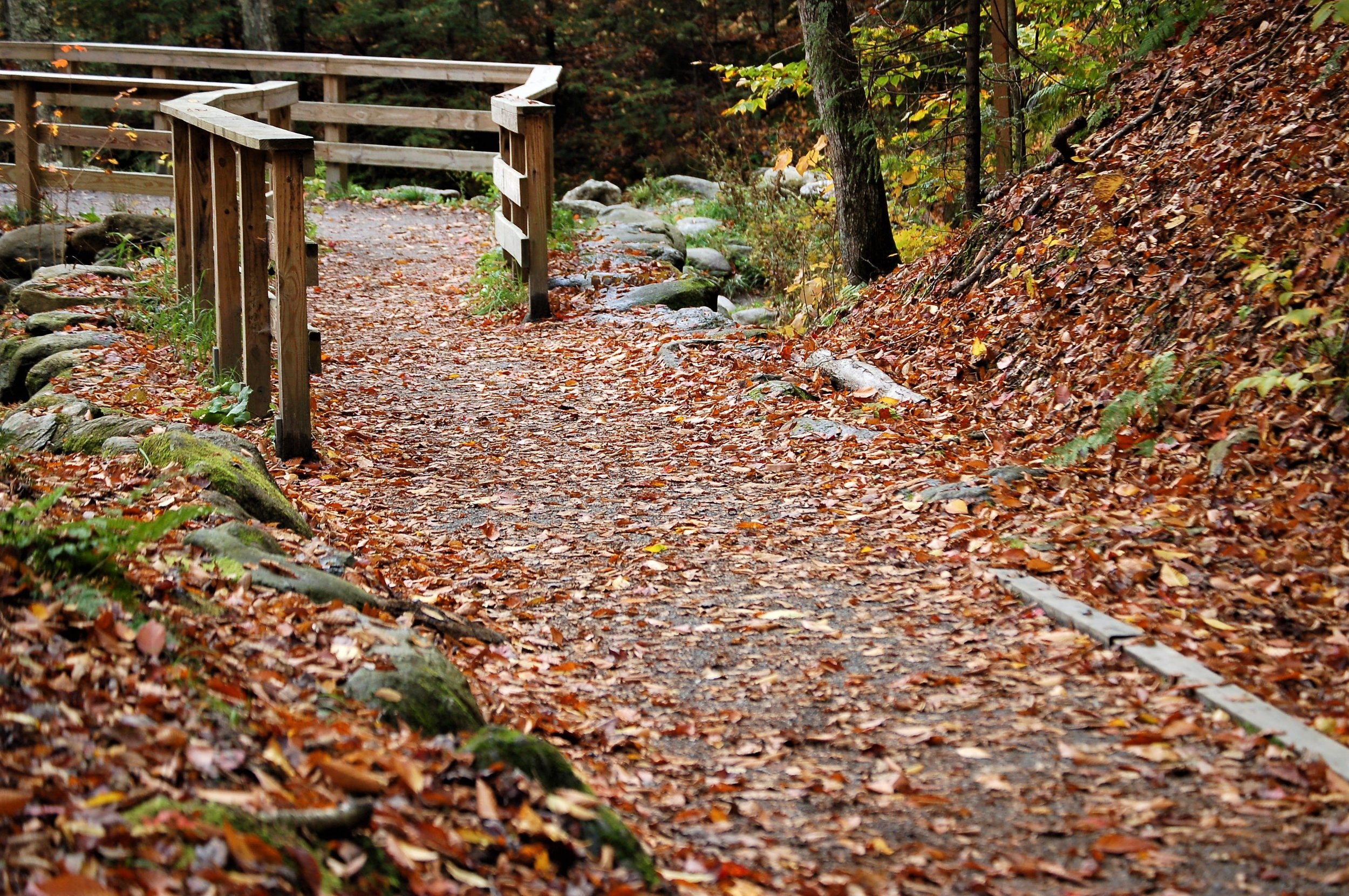 Autumn Trail.jpg