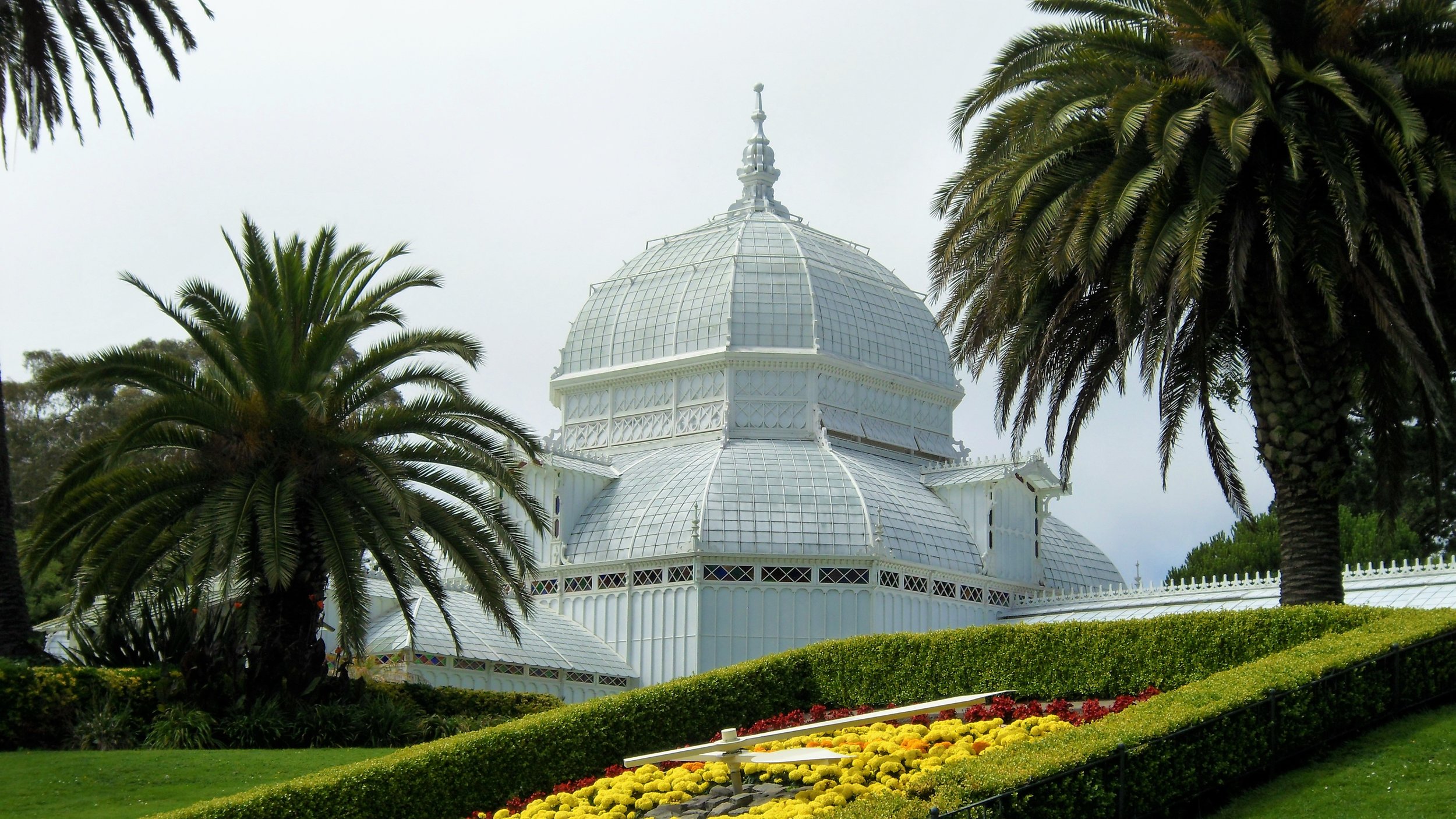 Golden Gate Park Arboretum.jpg