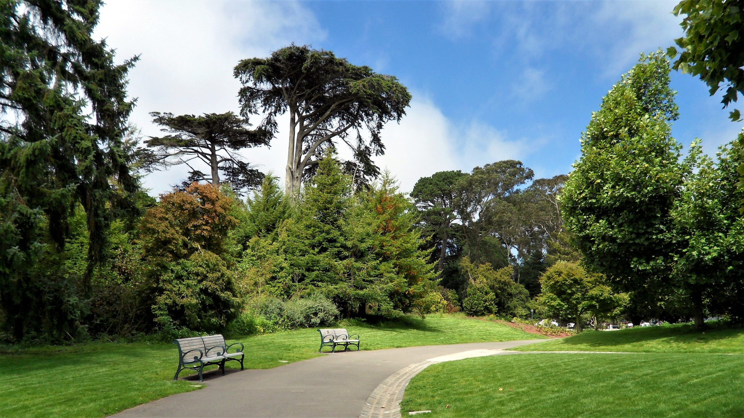 Golden Gate Park.jpg