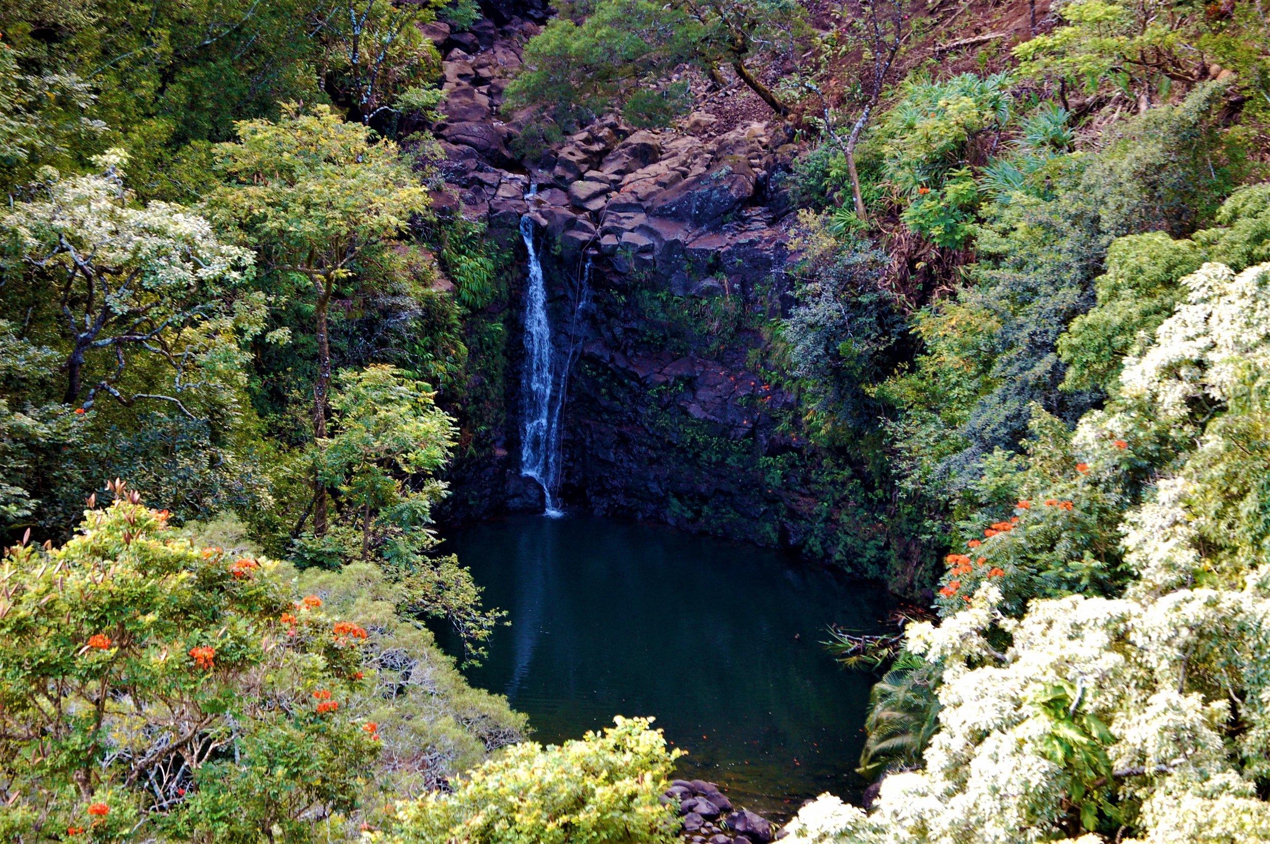 Nature's Pond.jpg