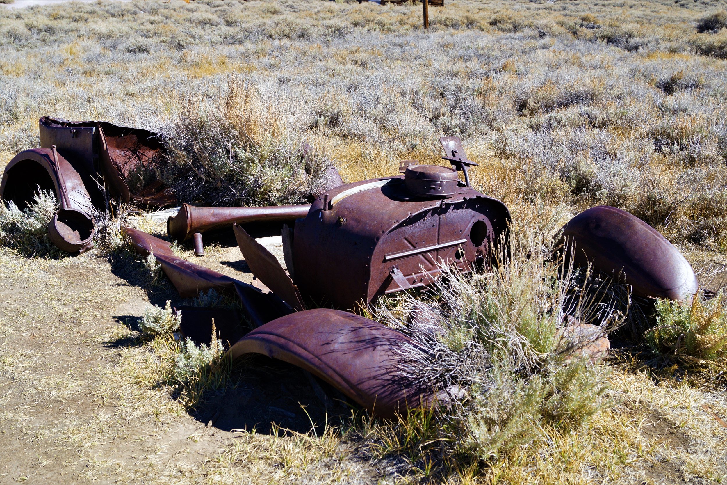 Remnants.jpg