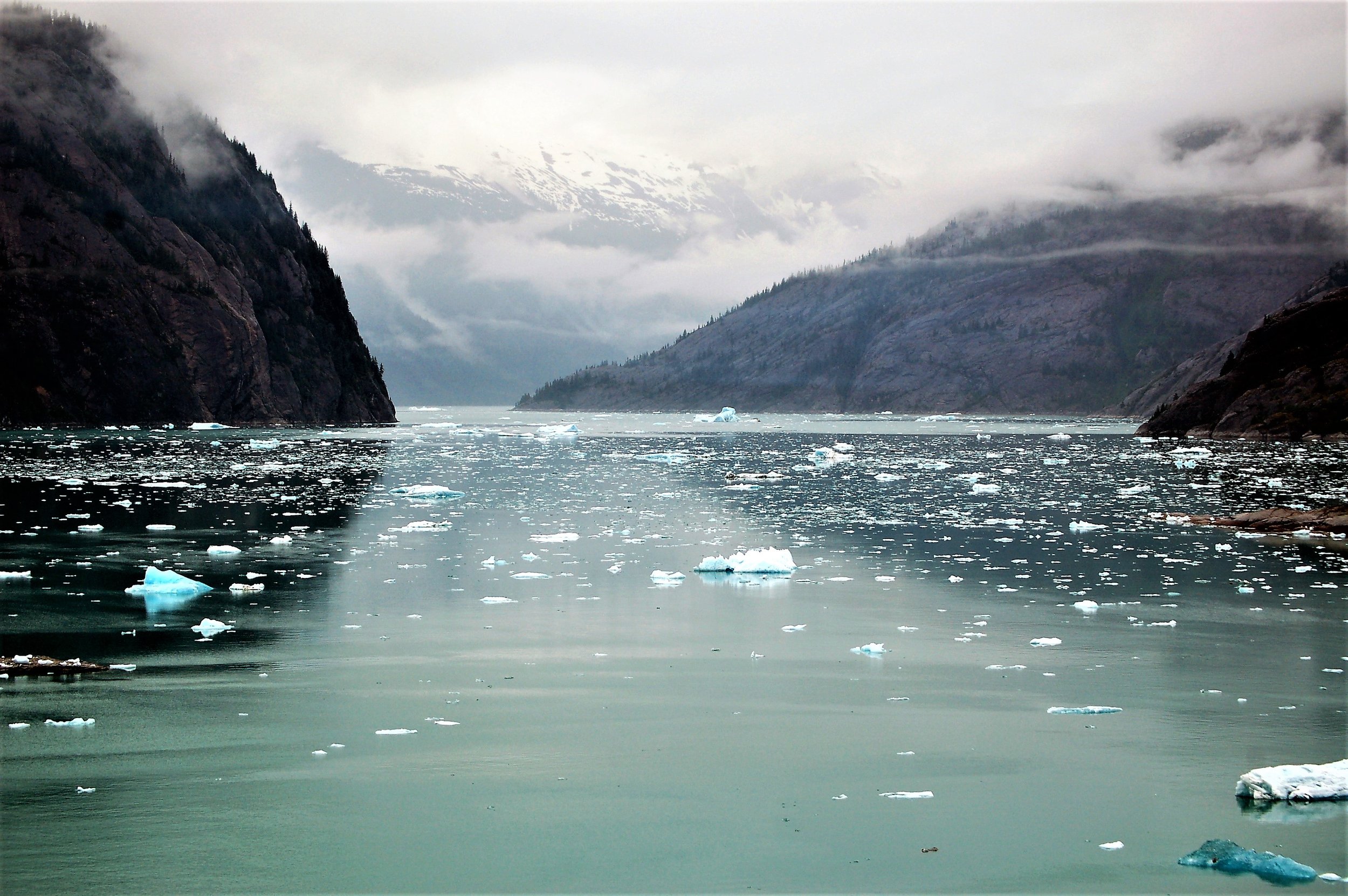 Alaska's Beauty.jpg