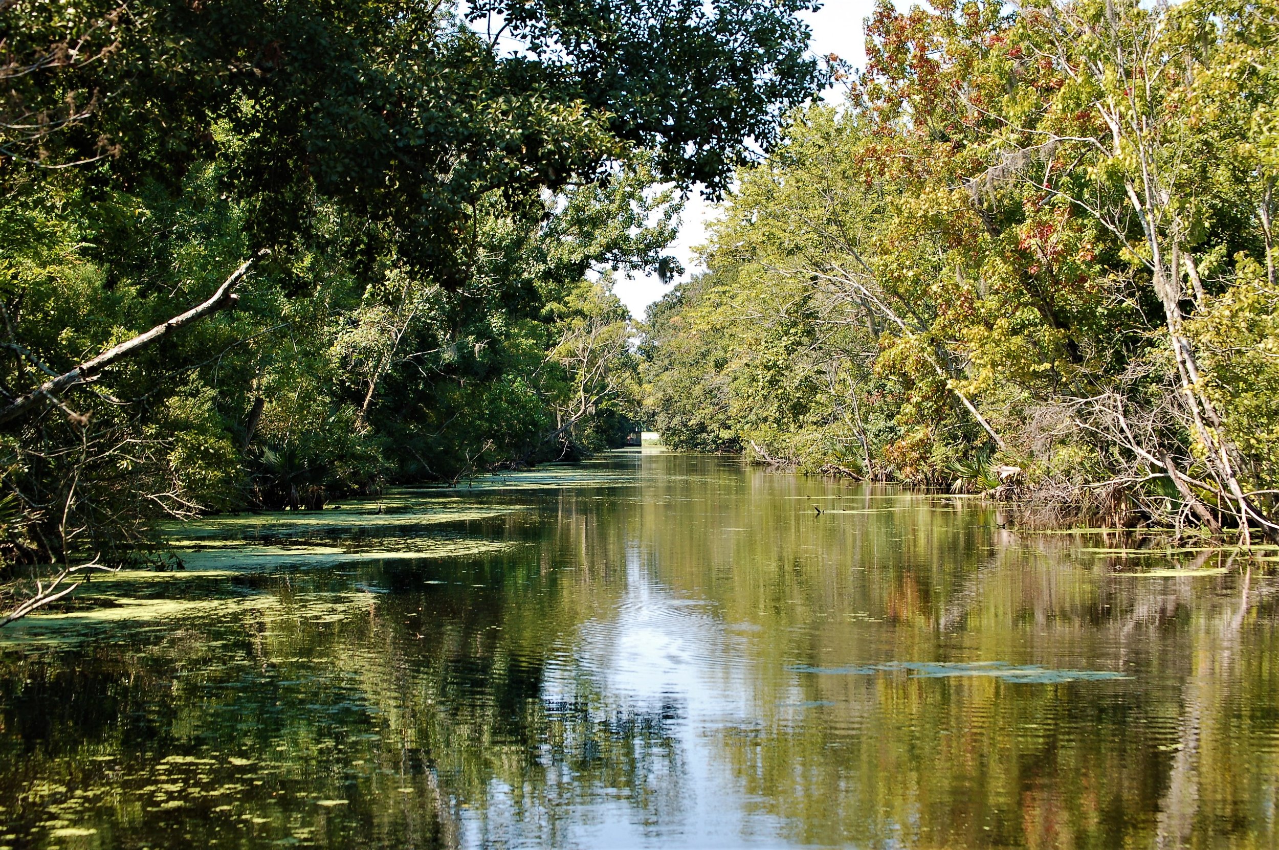Bayou Waterway.jpg