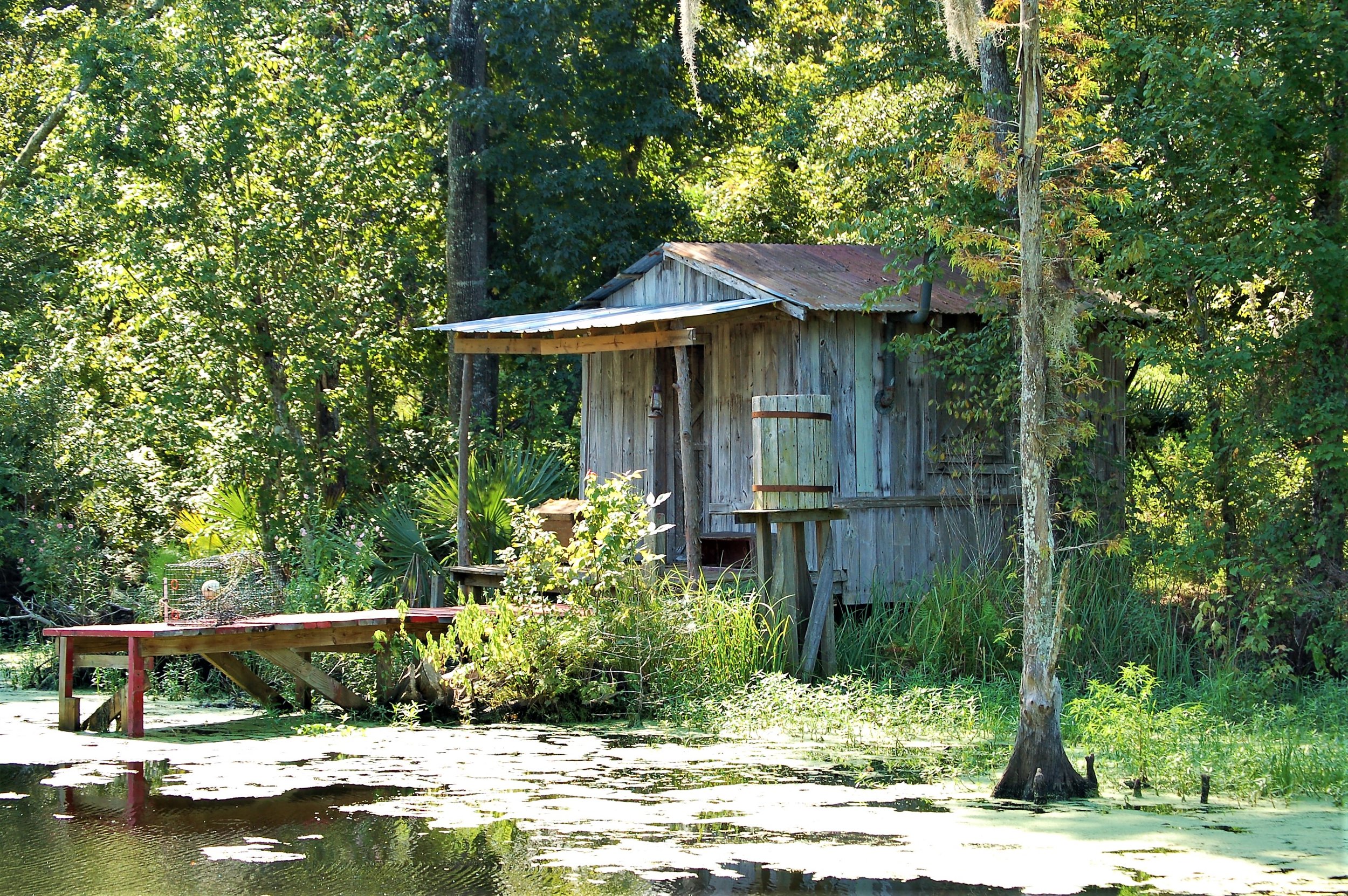Nestled in the Bayou.jpg