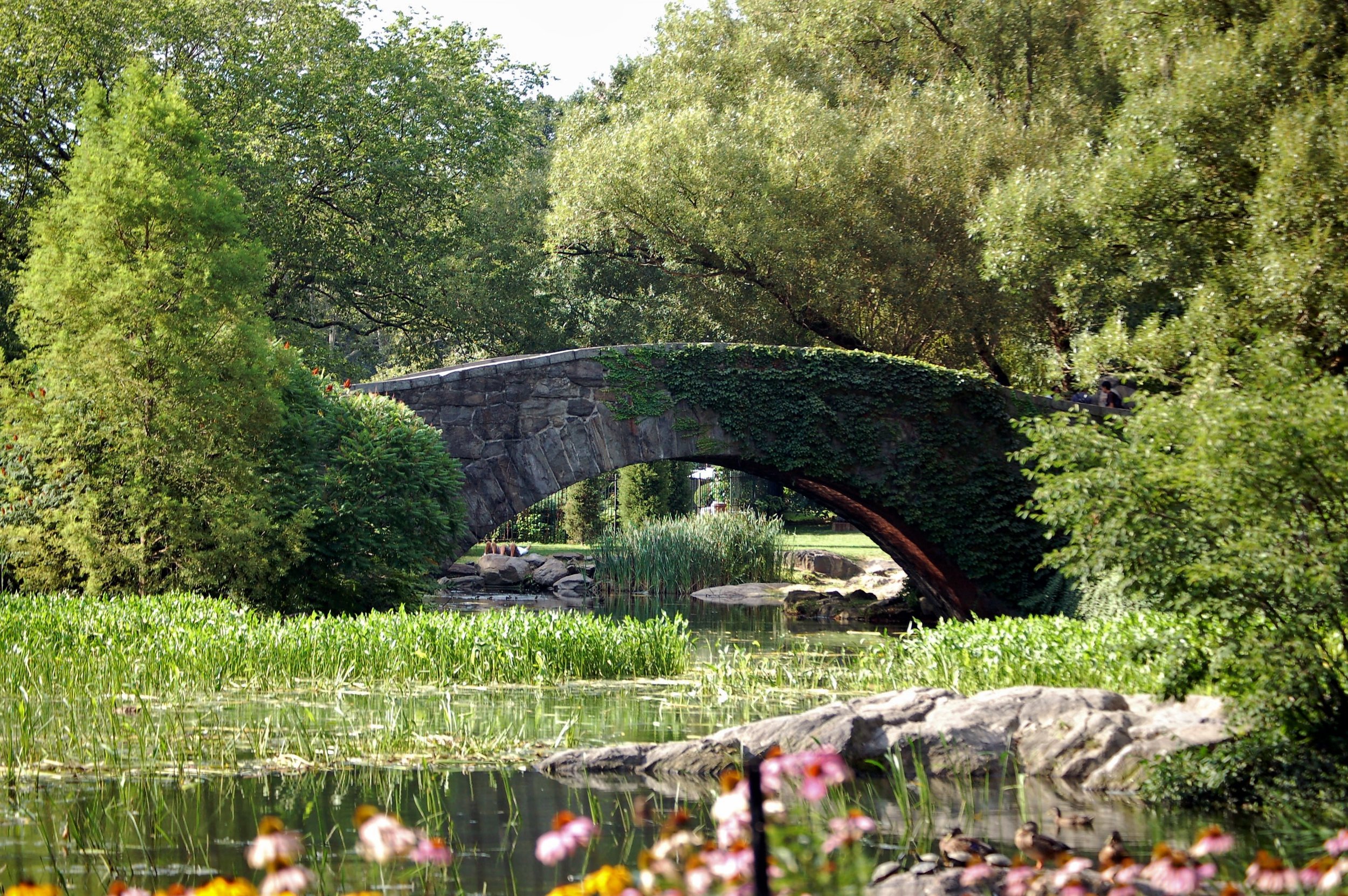 Central Park.jpg