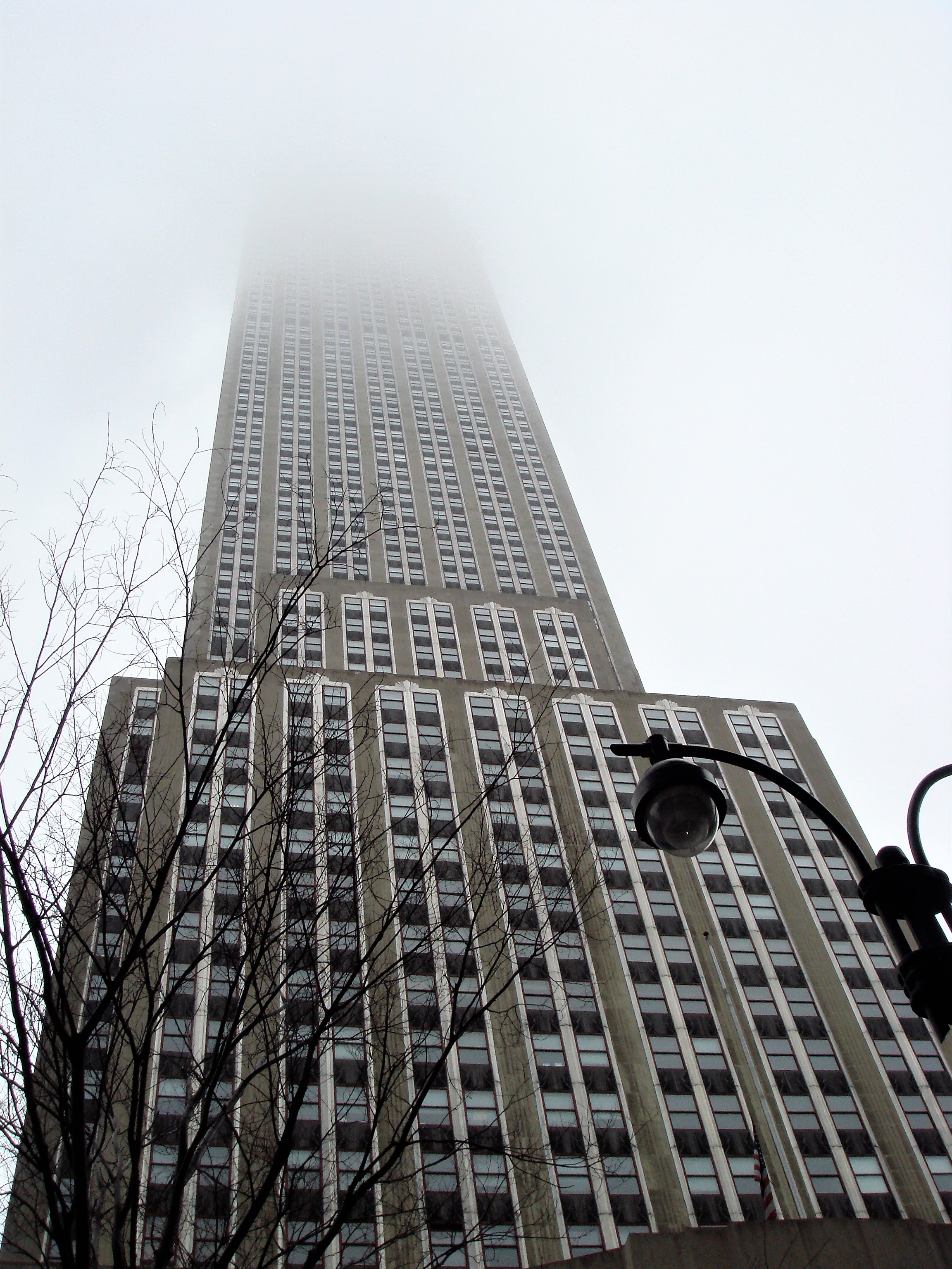 Lost in the Fog.jpg