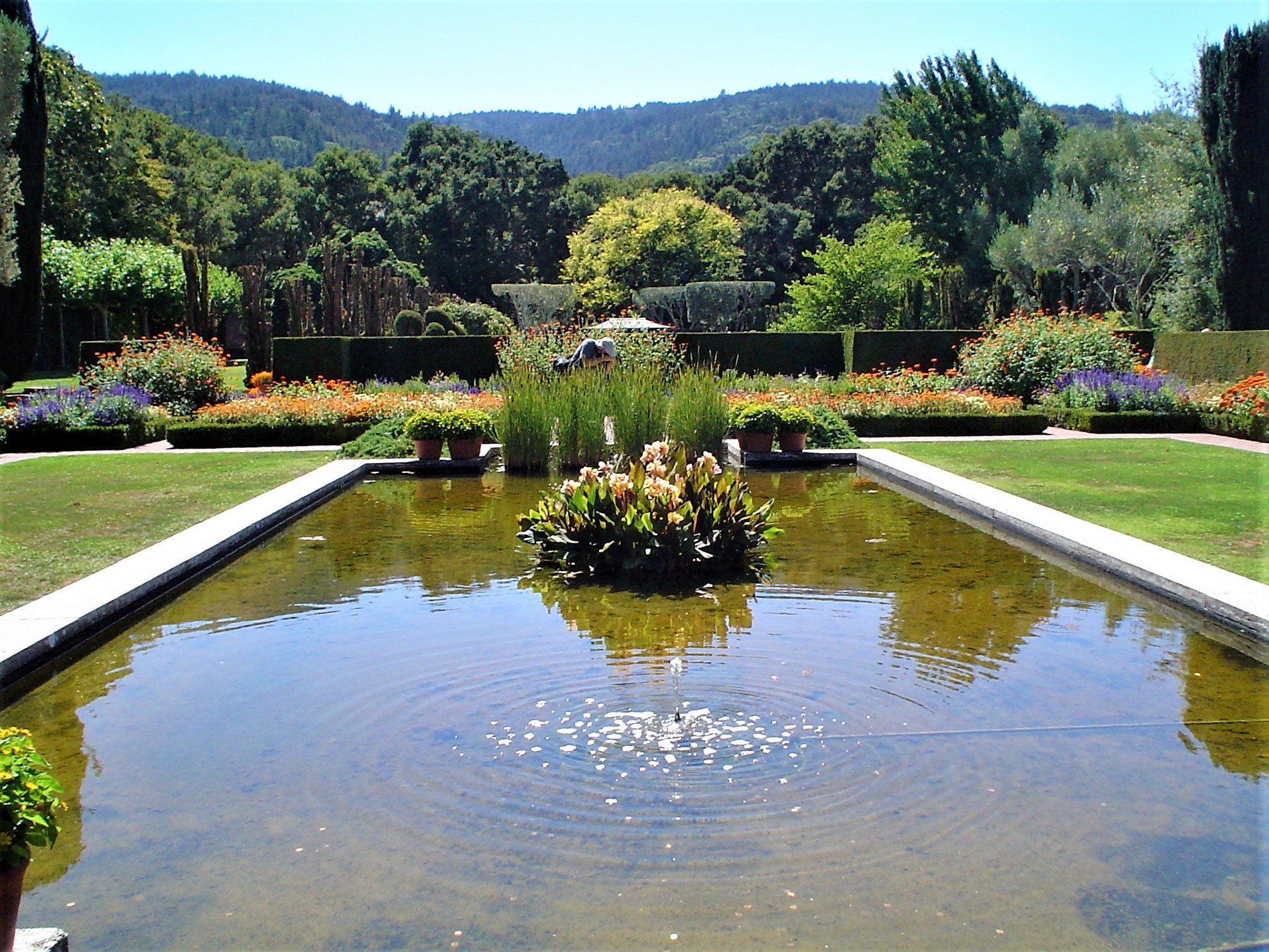 Fioli Gardens.jpg