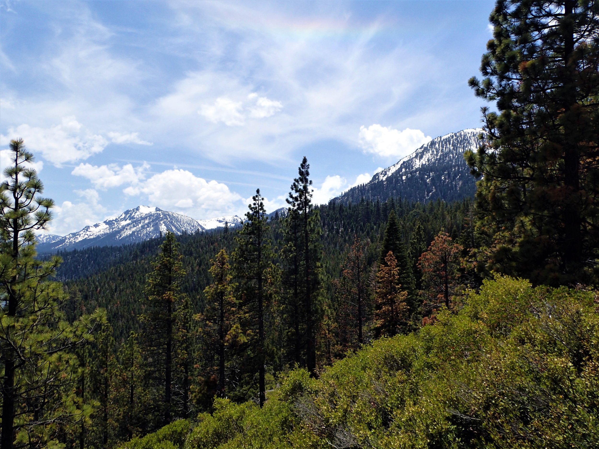 Natures Beauty.jpg